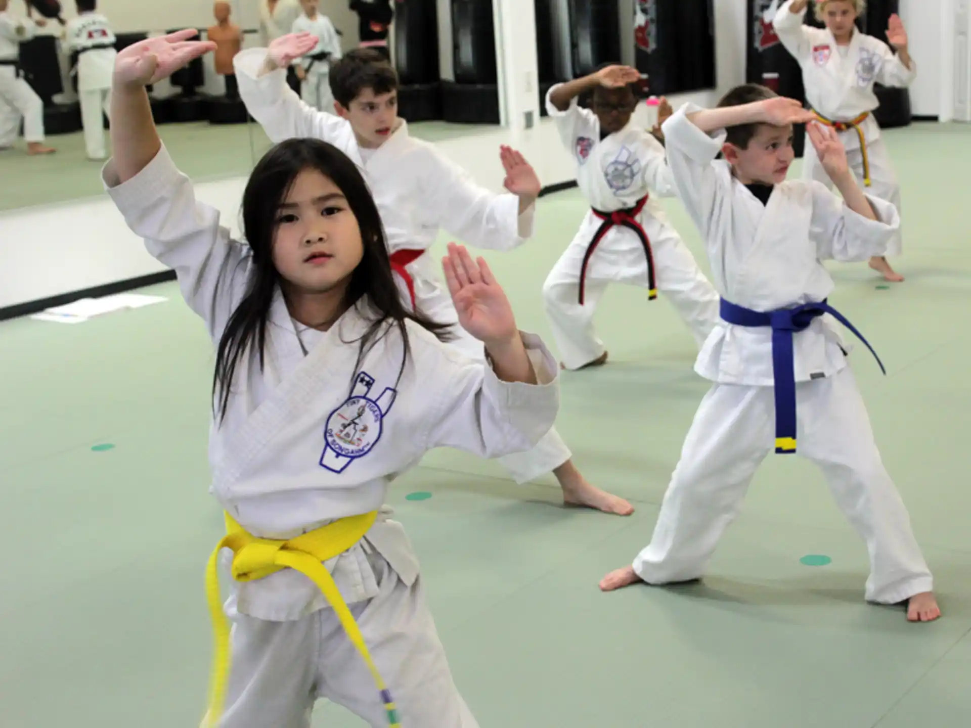 a group of people in karate uniforms