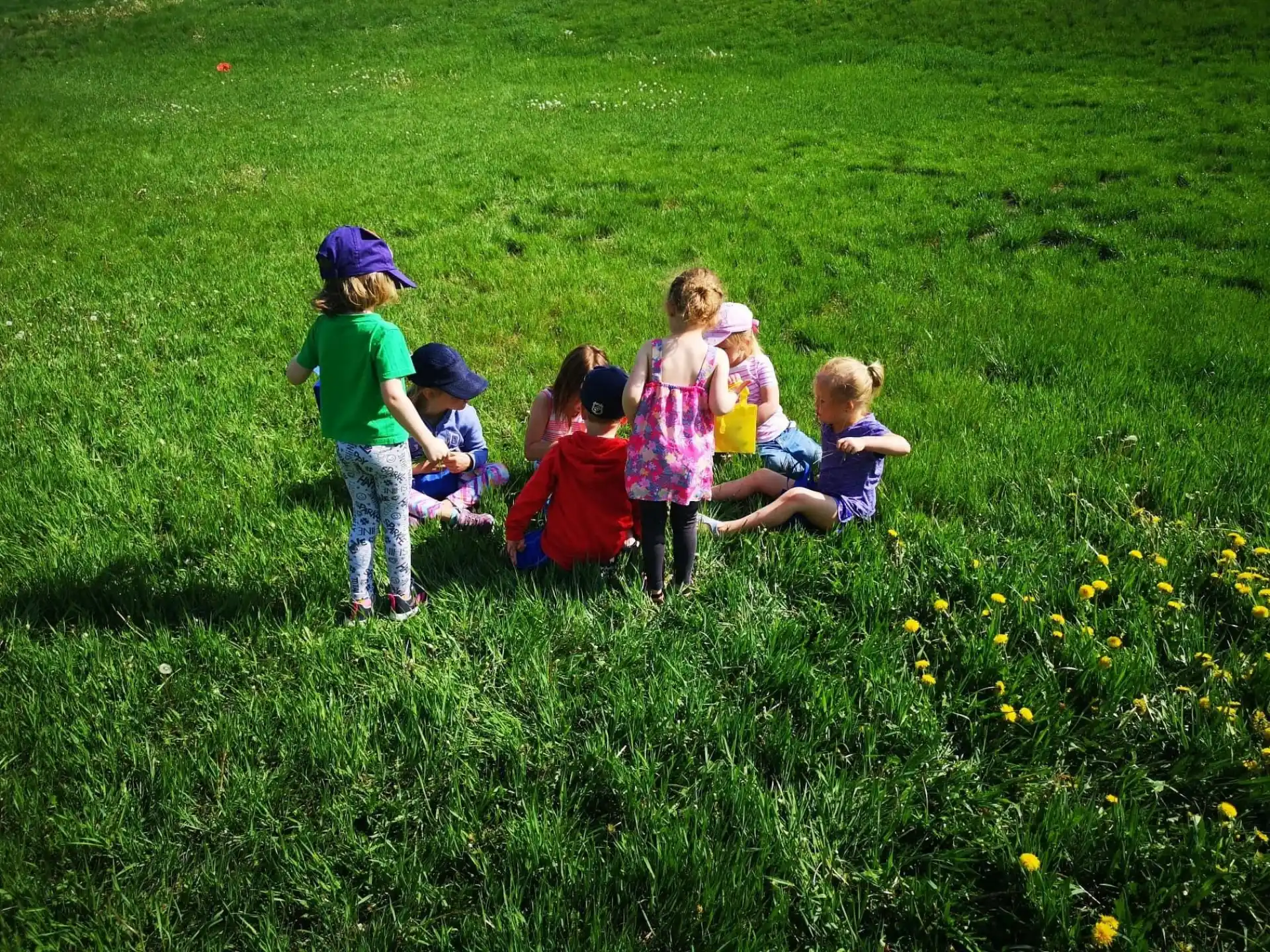 a group of children in a grassy field