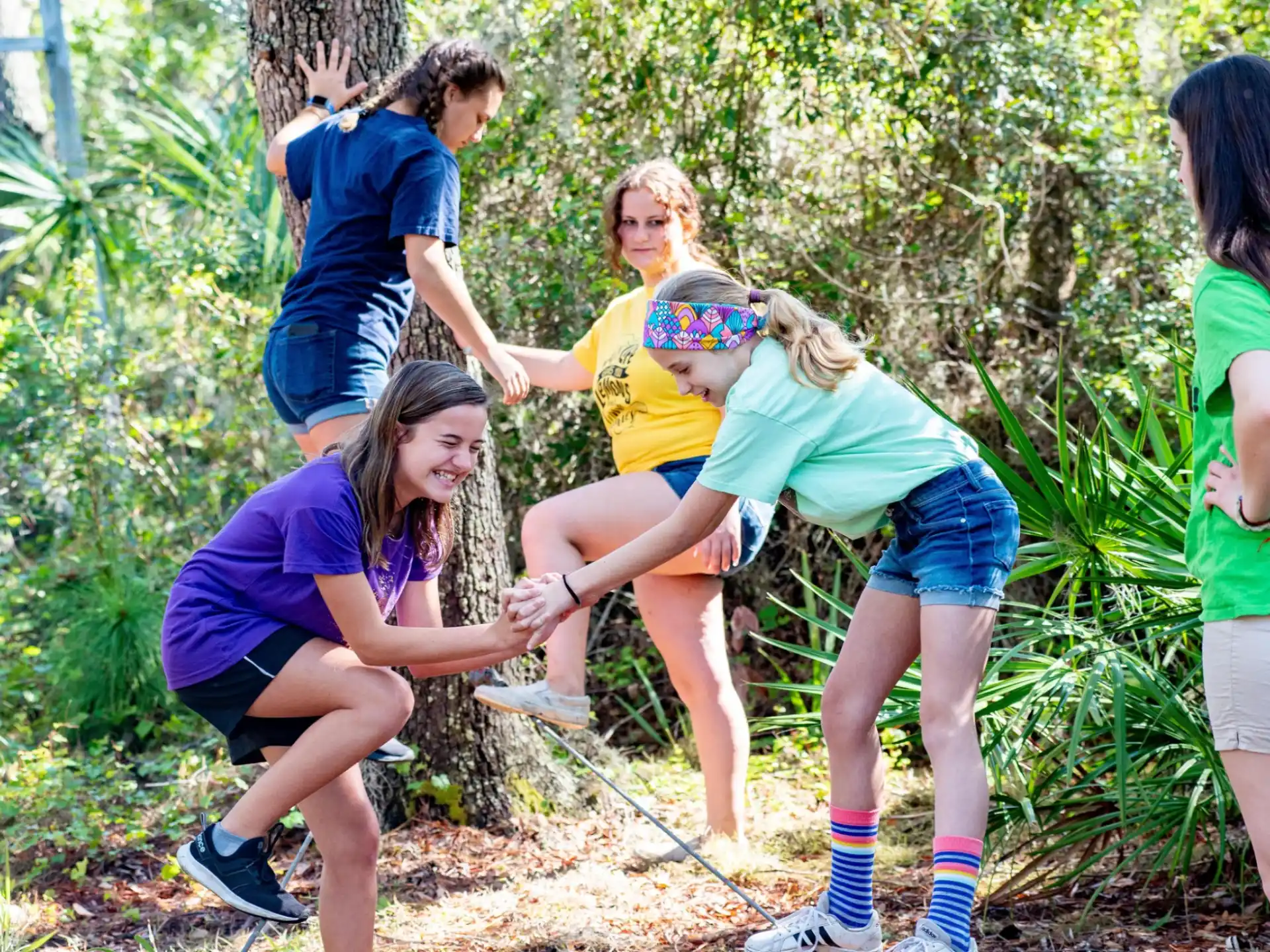 a group of people in a forest