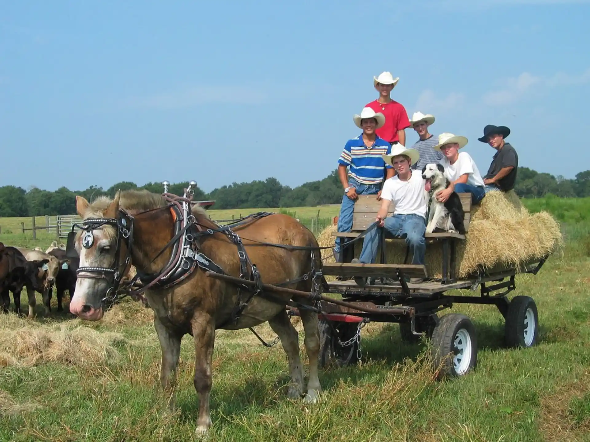 a group of people on a horse drawn carriage