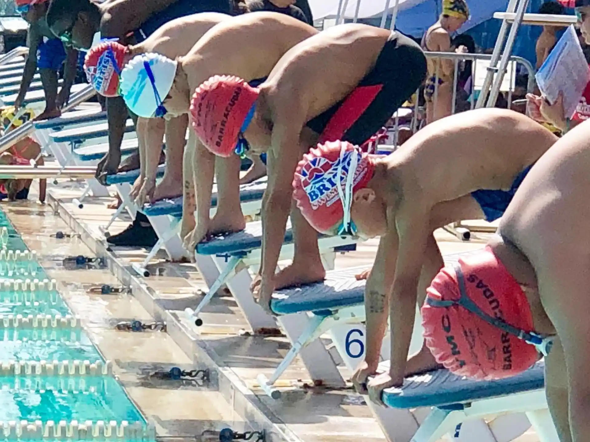 a group of elephants getting into a pool