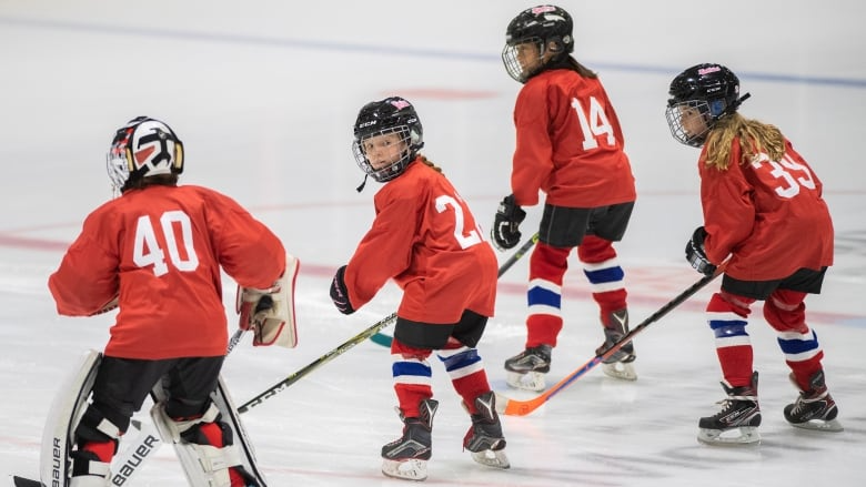 a group of people wearing hockey uniforms and holding sticks