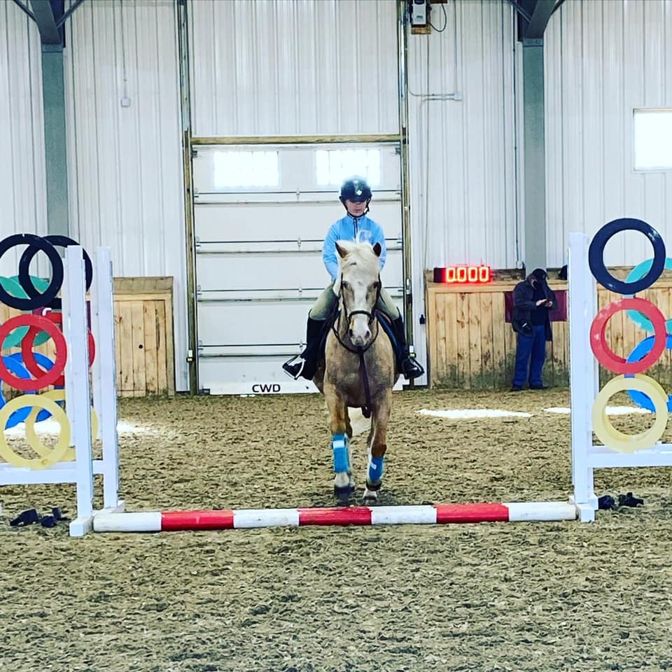 a person riding a horse
