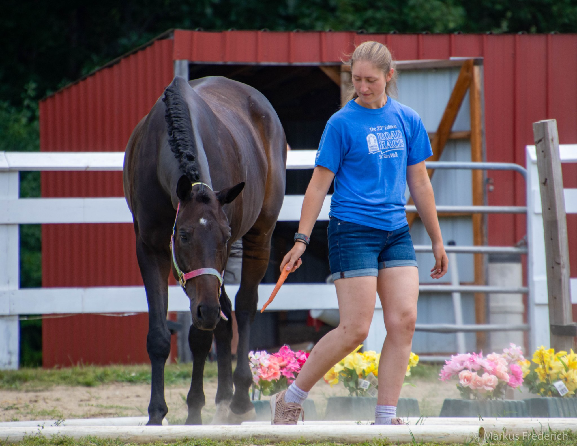 a person walking a horse
