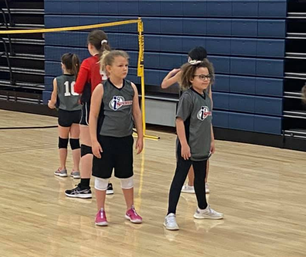 a group of girls in a gym