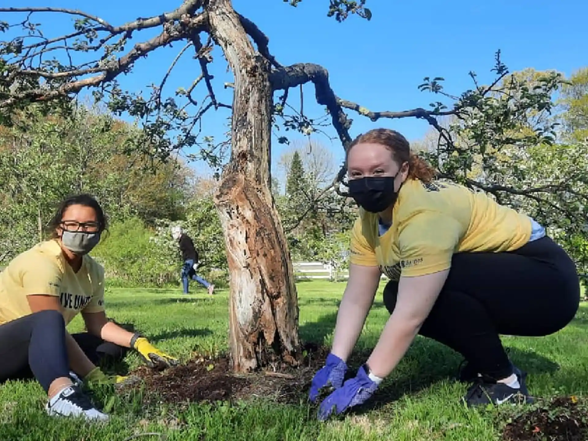 a couple of people wearing masks and sitting on grass by a tree