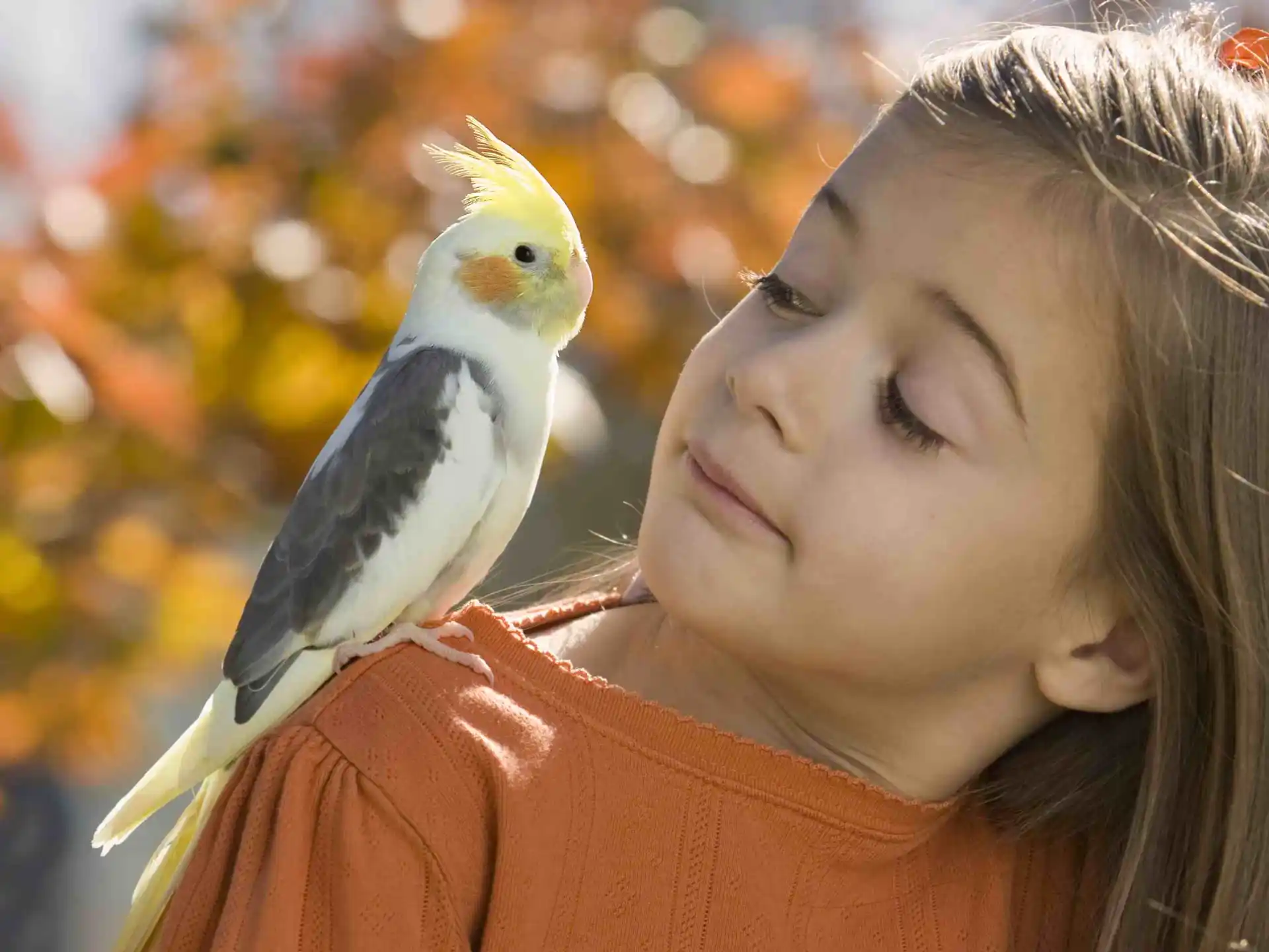 a bird on a woman's shoulder