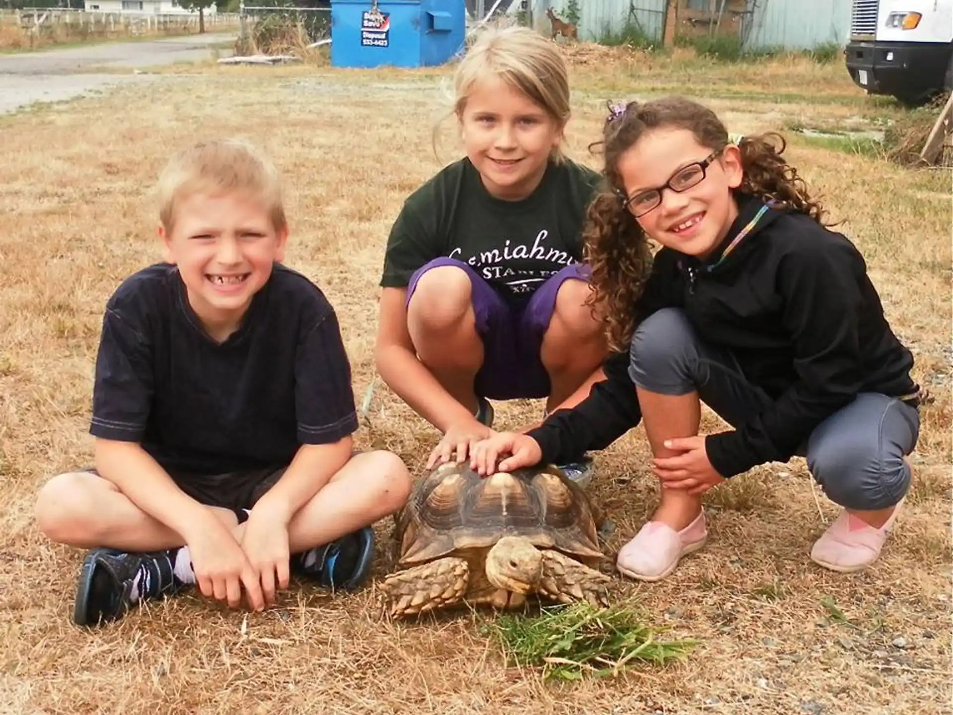a group of children kneeling on the ground with a turtle