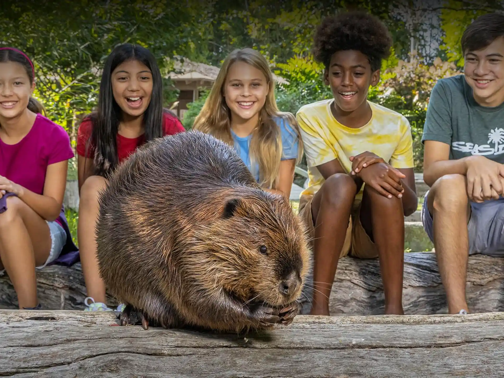 a group of people sitting next to a bear