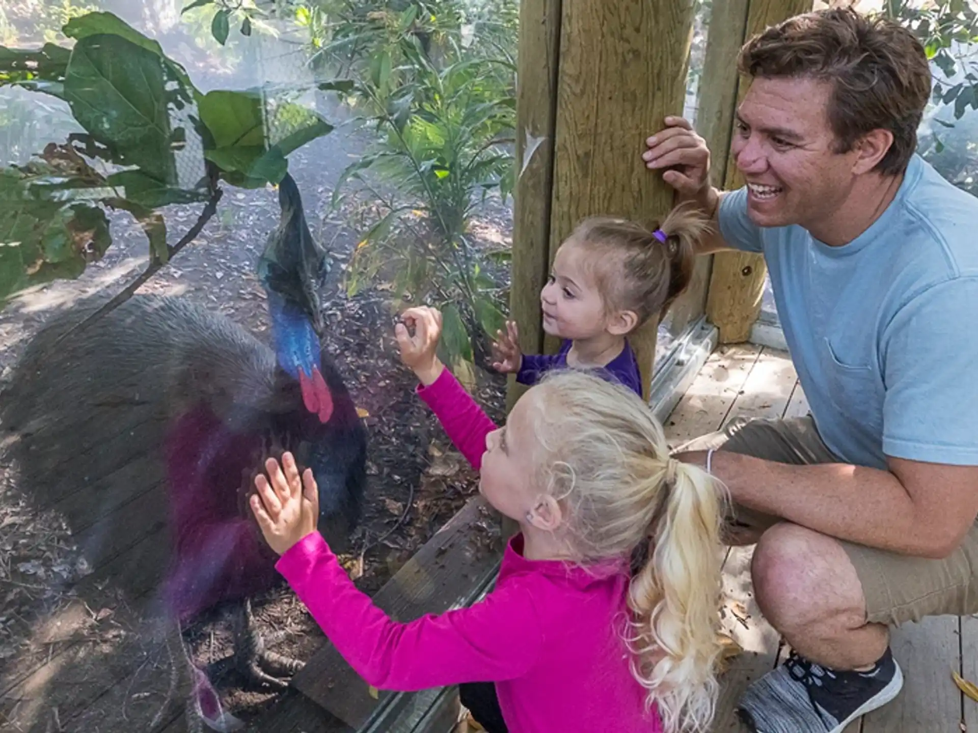 a person and a couple of children playing with a baby
