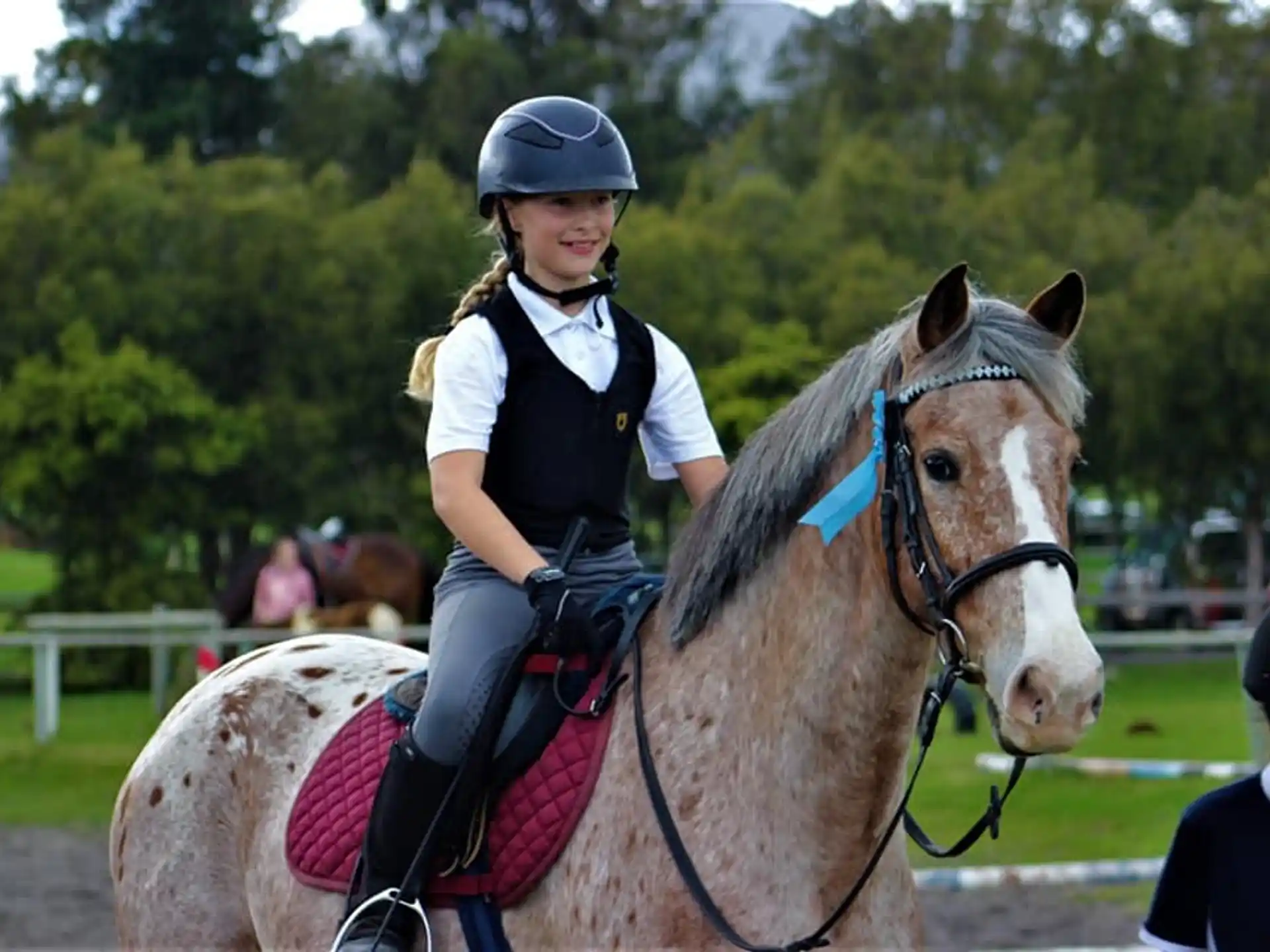 a person riding a horse