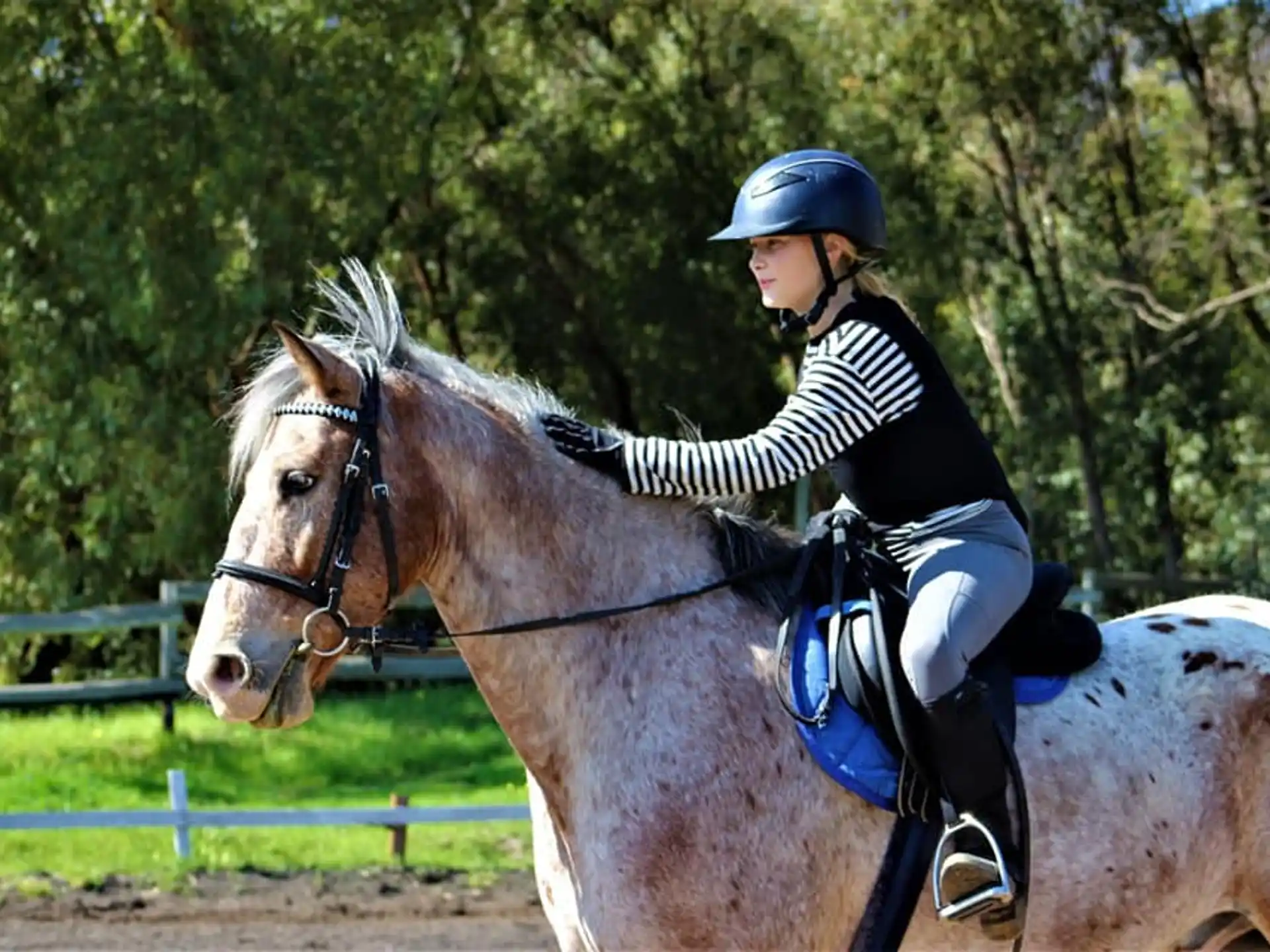 a person riding a horse