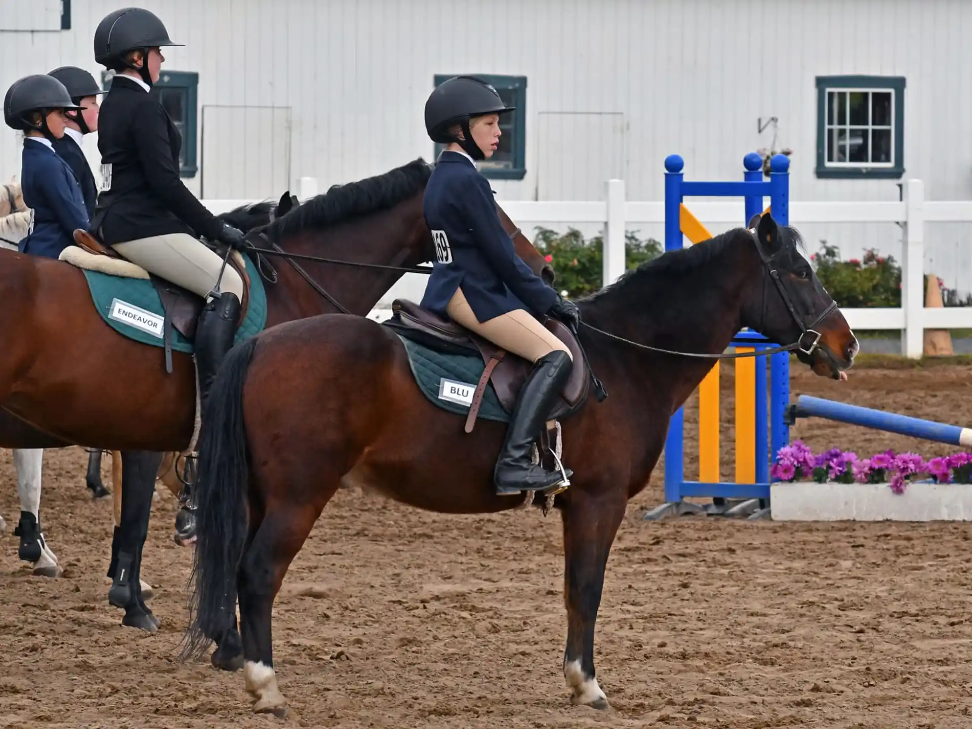 a group of people riding horses