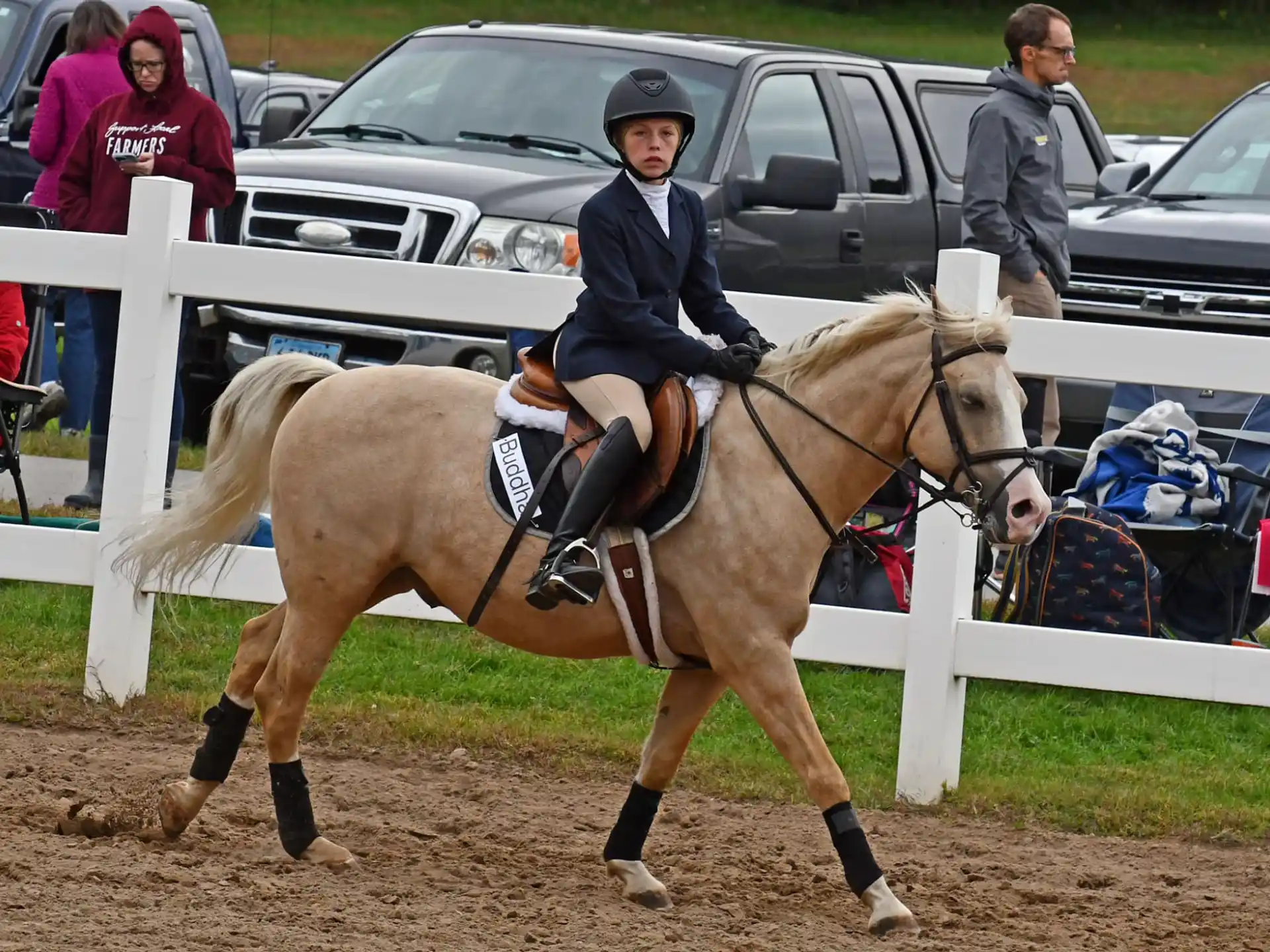 a person riding a horse