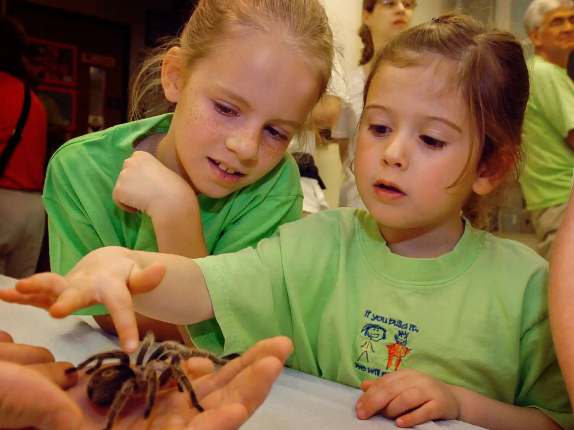 a couple of young girls holding a small turtle