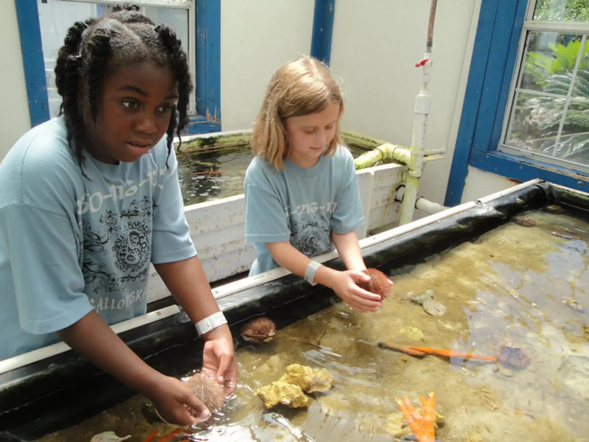 a few young girls working in a dirty room