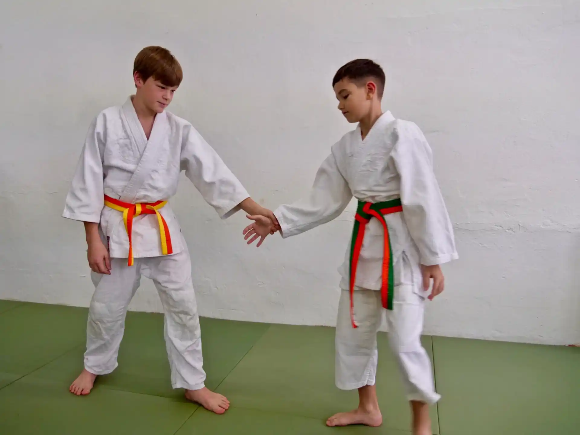 two people in karate uniforms