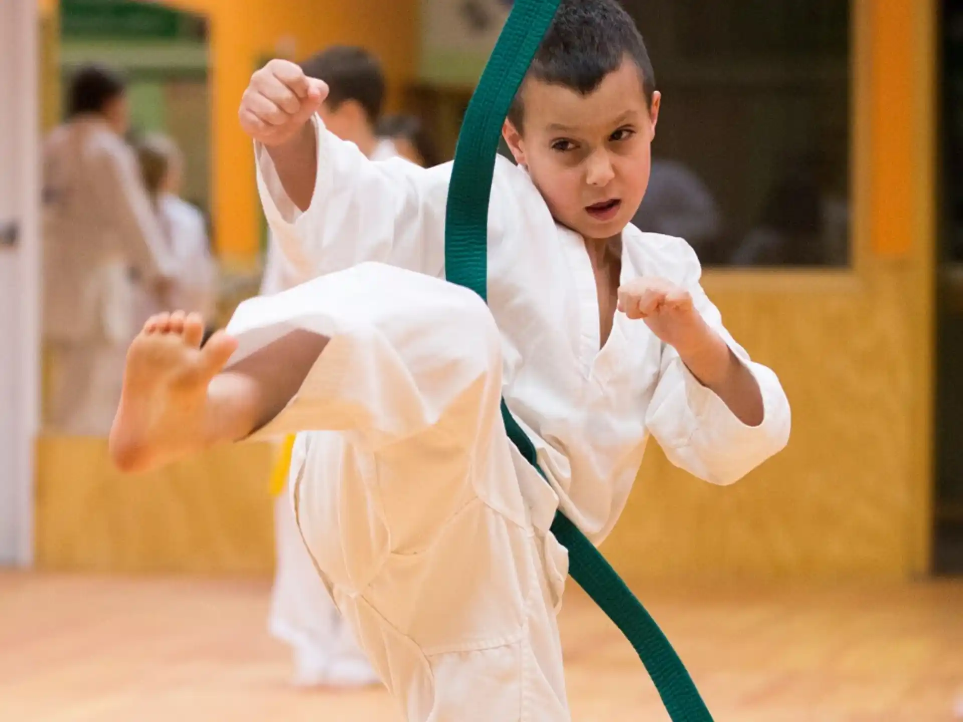 a young boy in a karate uniform