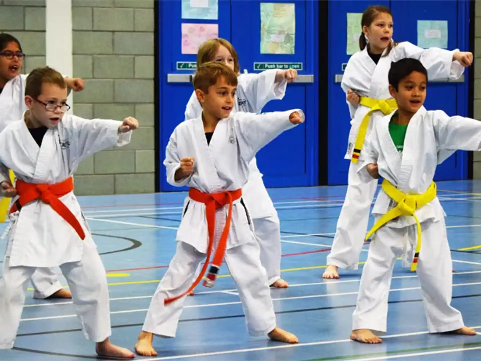 a group of kids in karate uniforms