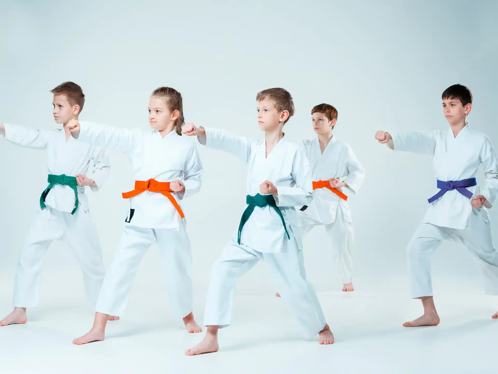 a group of people in karate uniforms