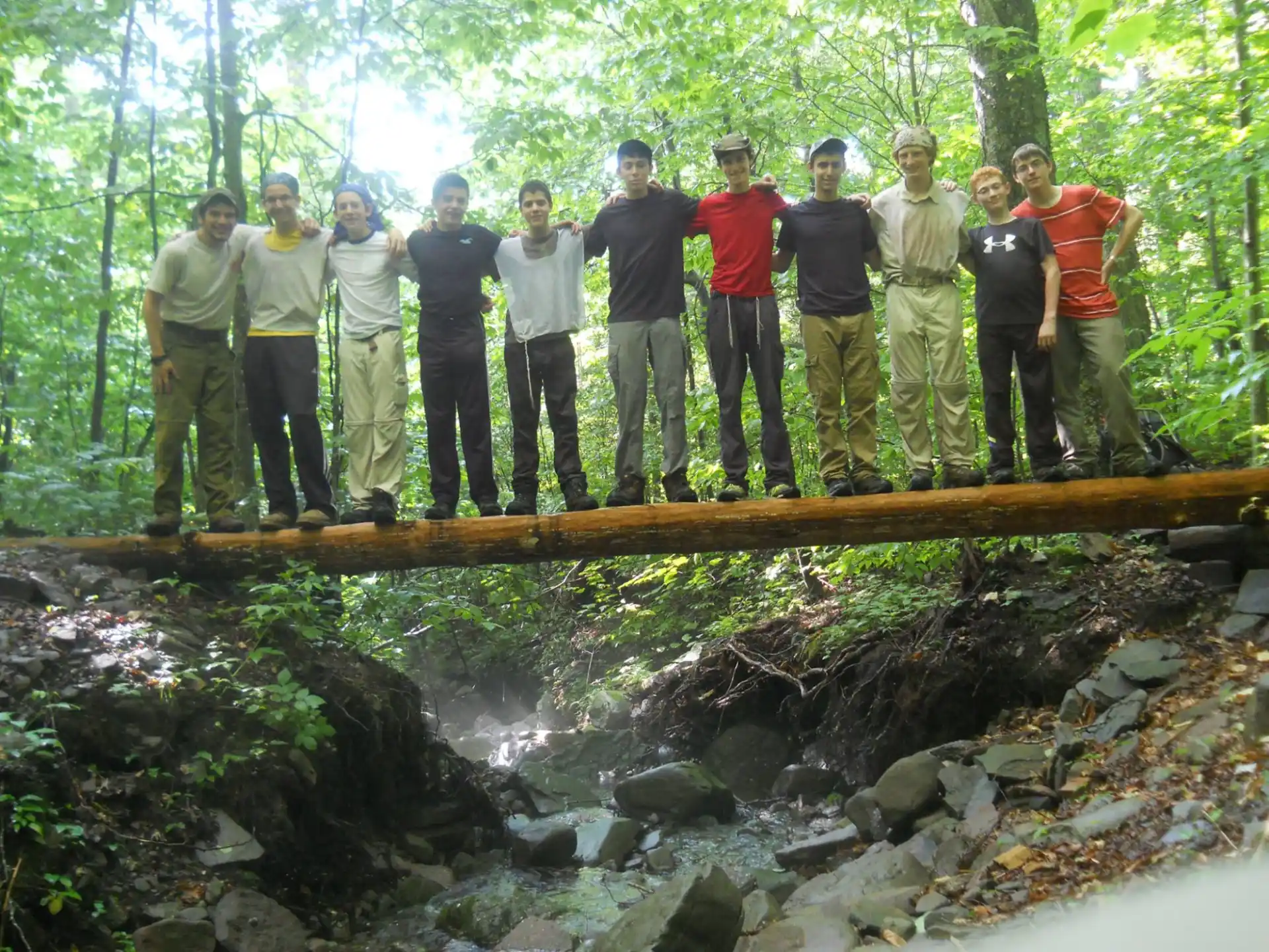 a group of people standing on a log in the woods