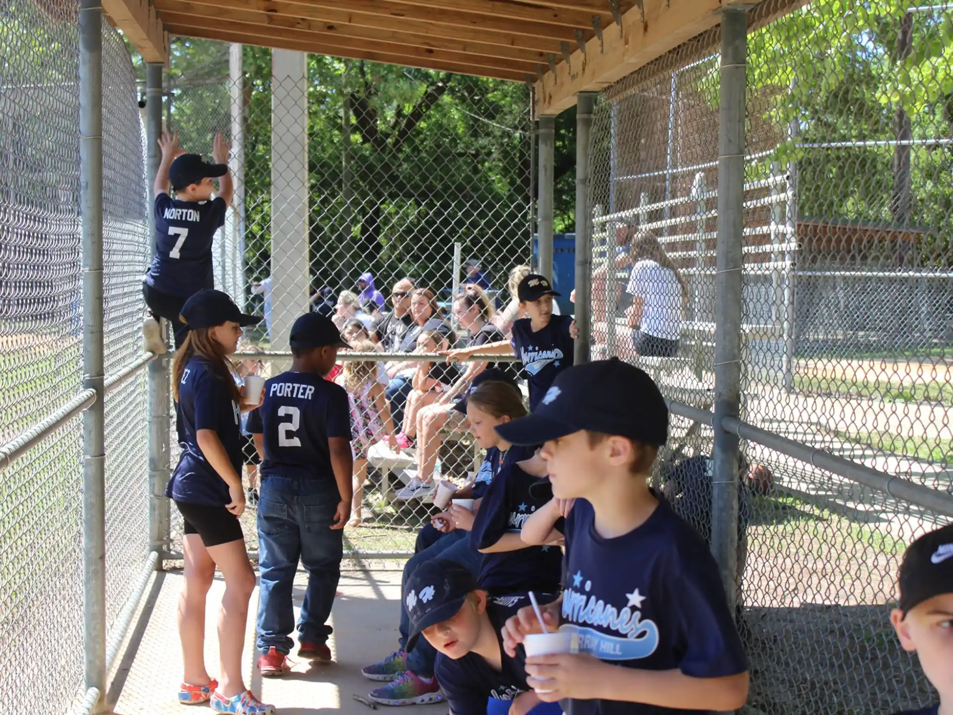 a group of kids in a batting cage