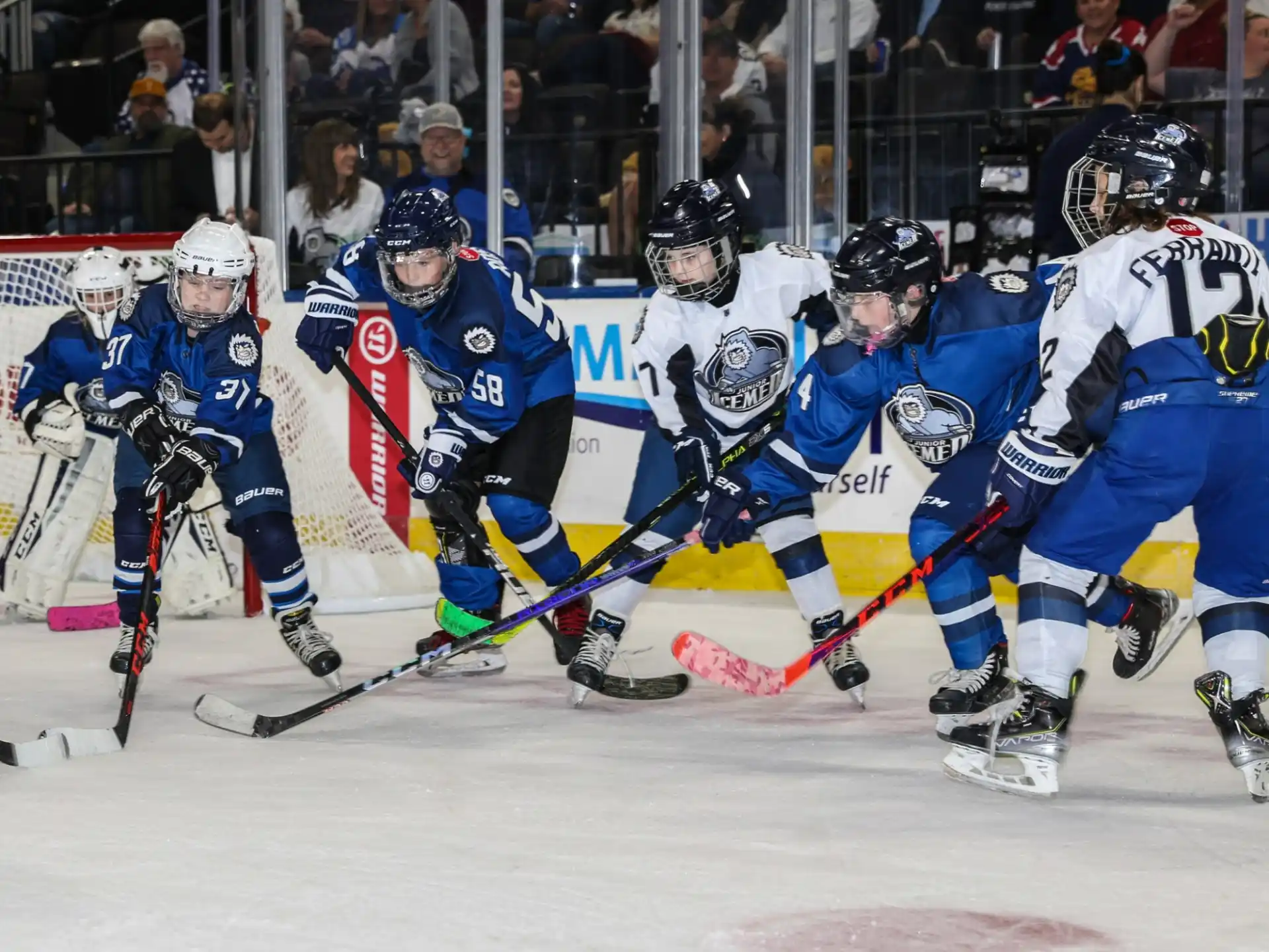 hockey players on ice