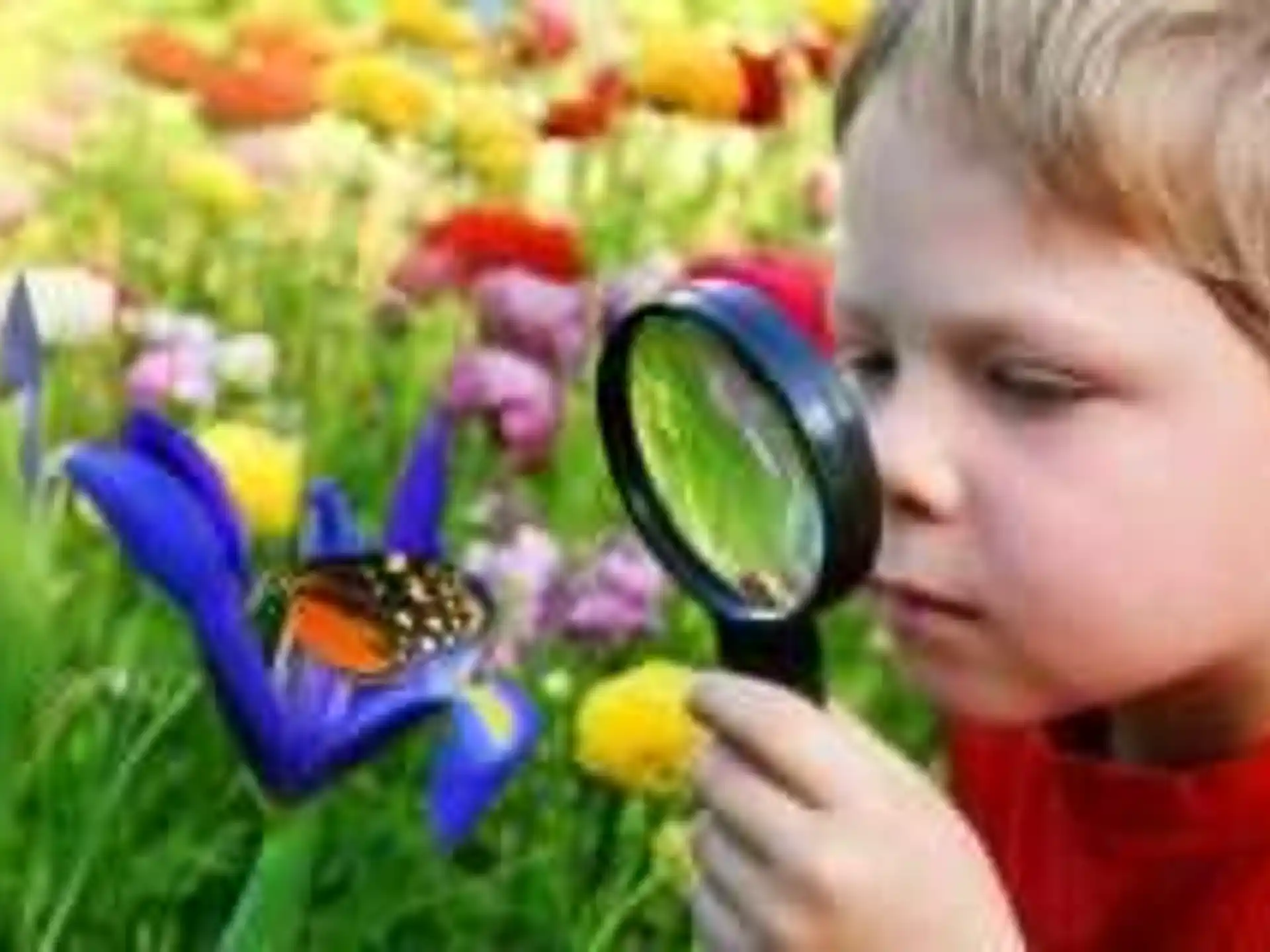 Club SciKidz South Bay / Orange County — 068fffb7 8a4d 4ec4 9e5d 3d116f2bfda6