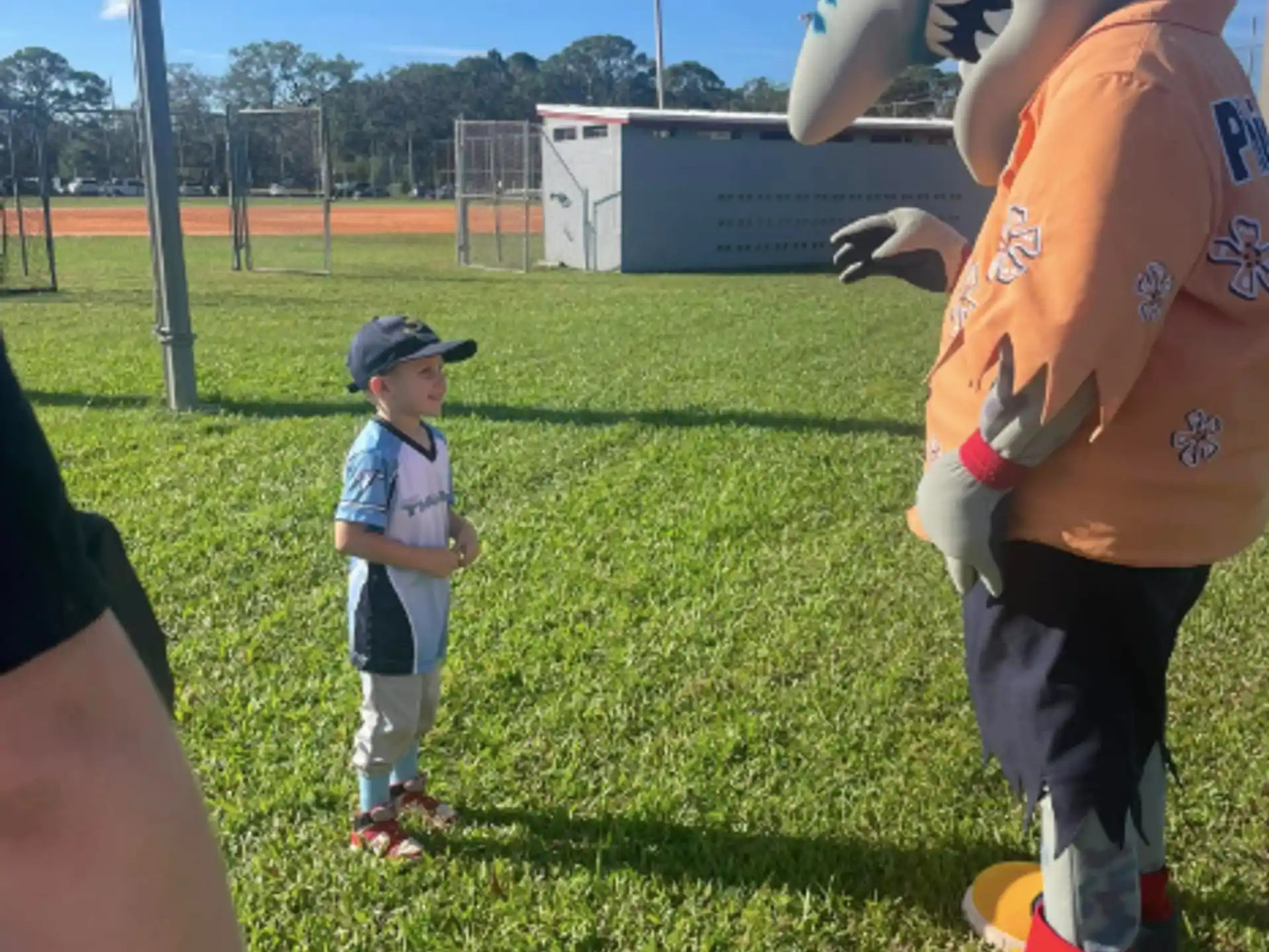 Pinellas County Youth Baseball and Softball  — a9bf203a bd76 4e67 acf9 ff949af2bef0