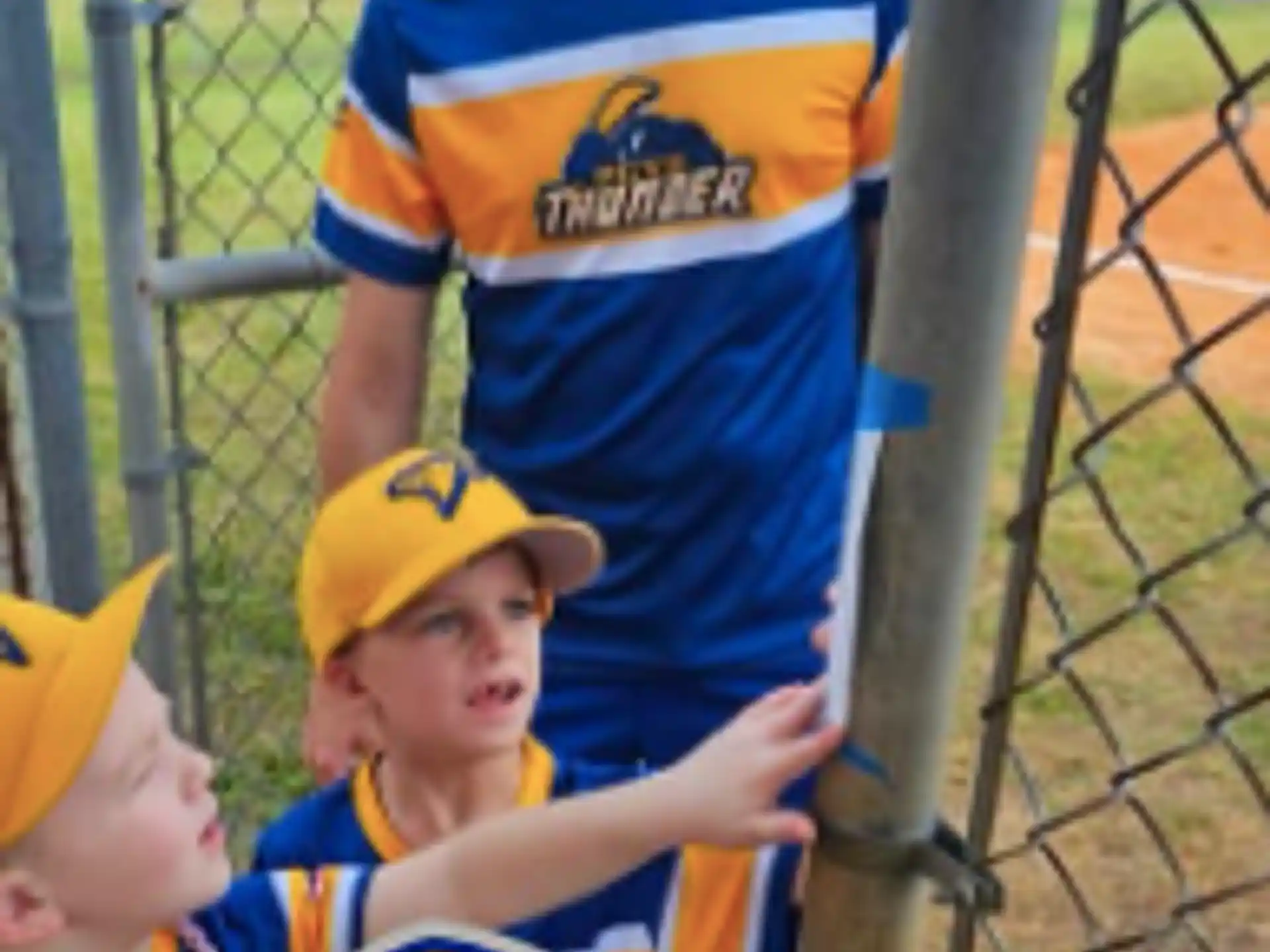 Pinellas County Youth Baseball and Softball  — e0493a99 2b46 4dcc a7dd 9b62f8335076