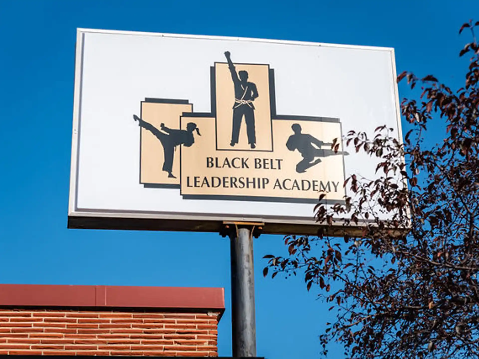 Black Belt Leadership Academy - Wauwatosa — 0918a158 9876 4728 b111 0000a389f78b