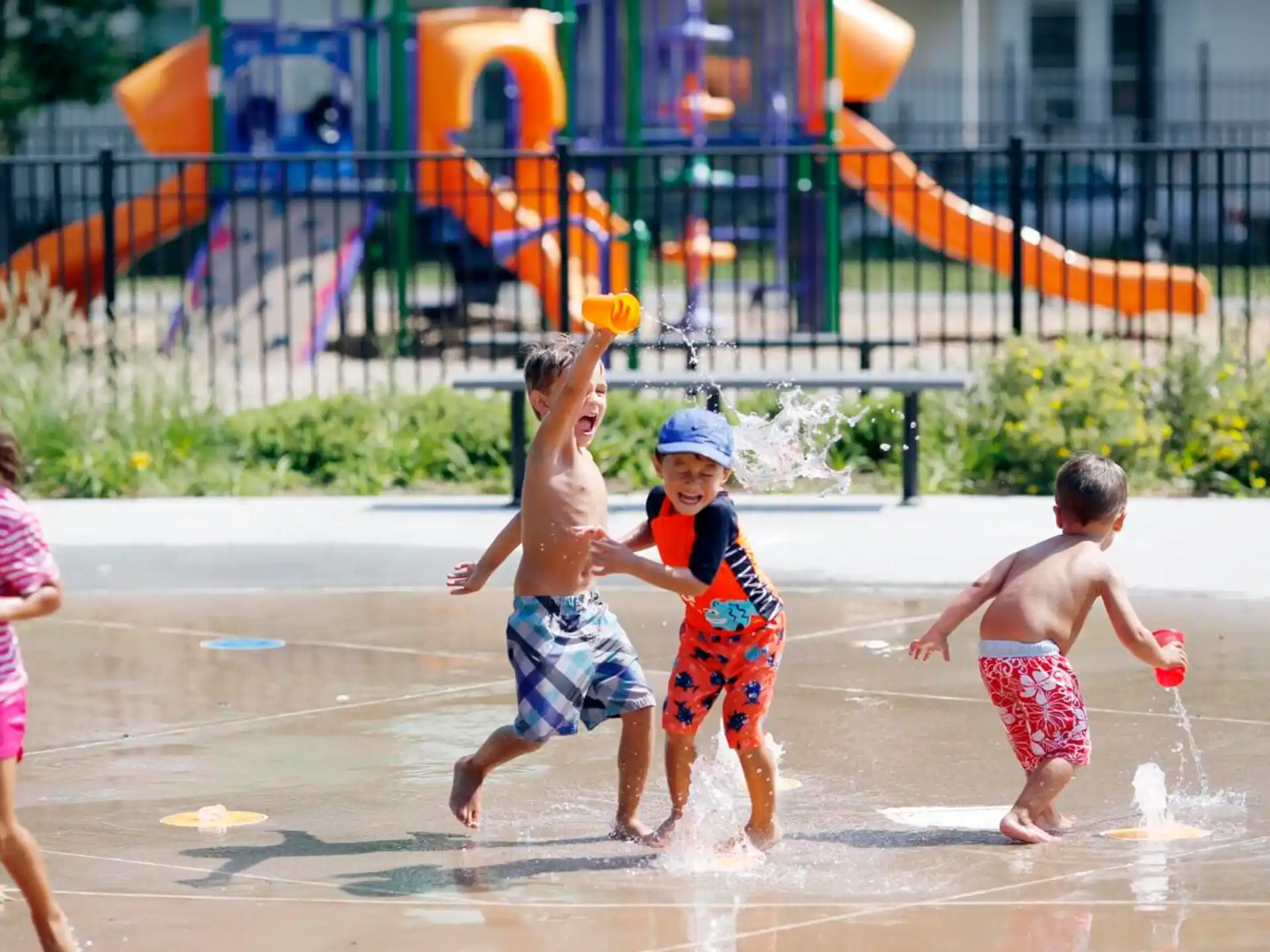 children playing in the water