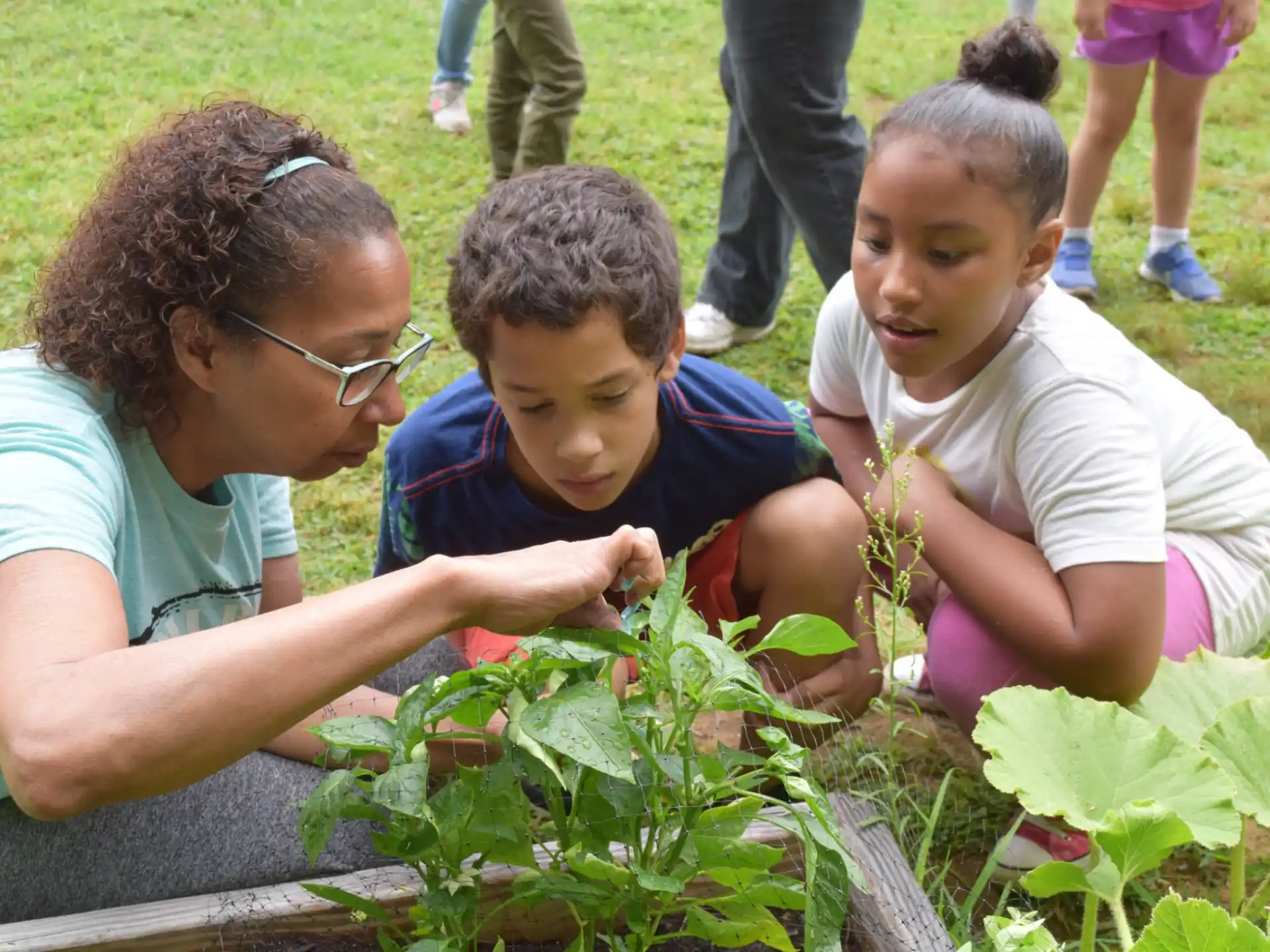 a person and two children looking at a plant