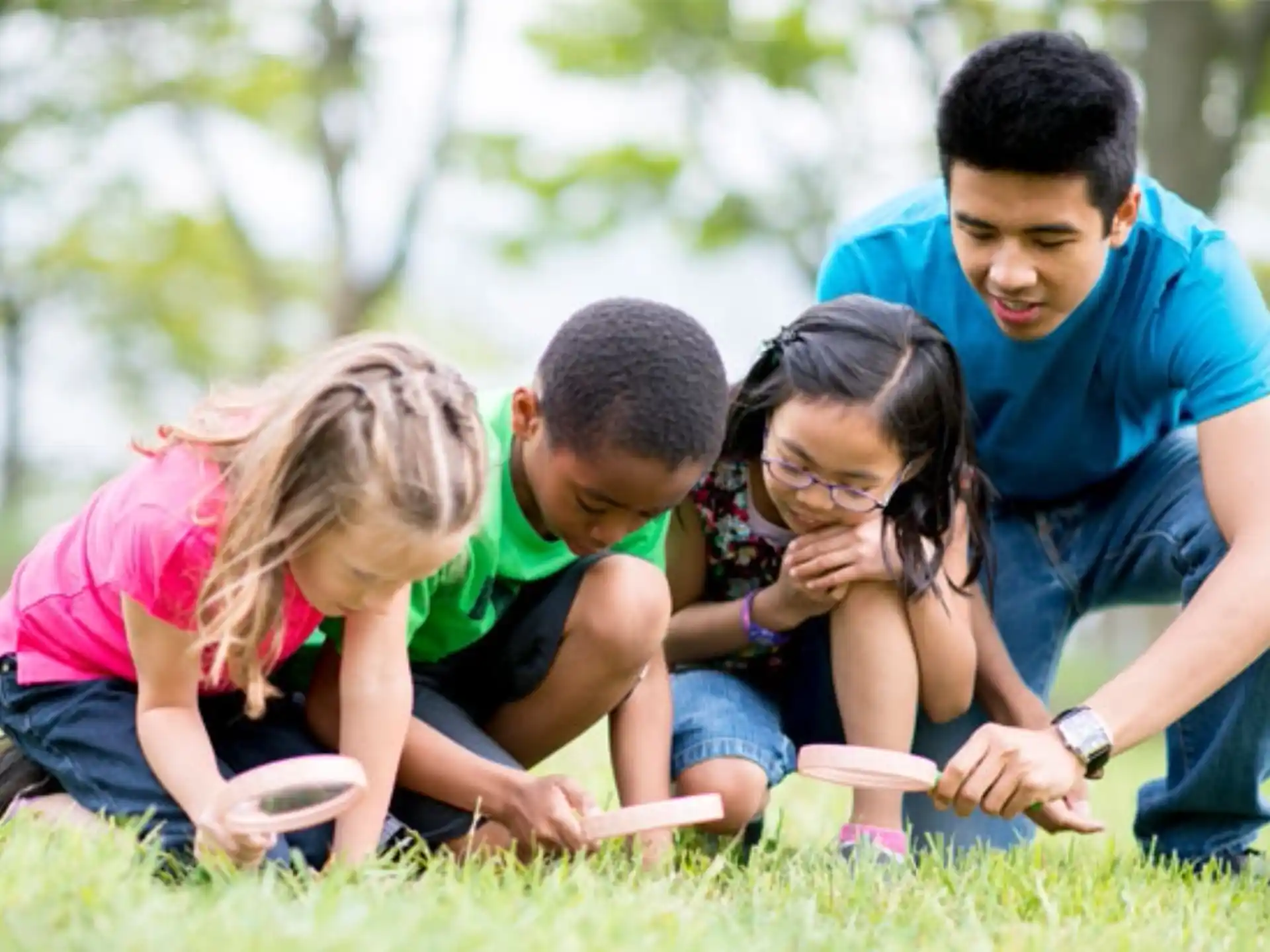 a group of people sitting on the grass