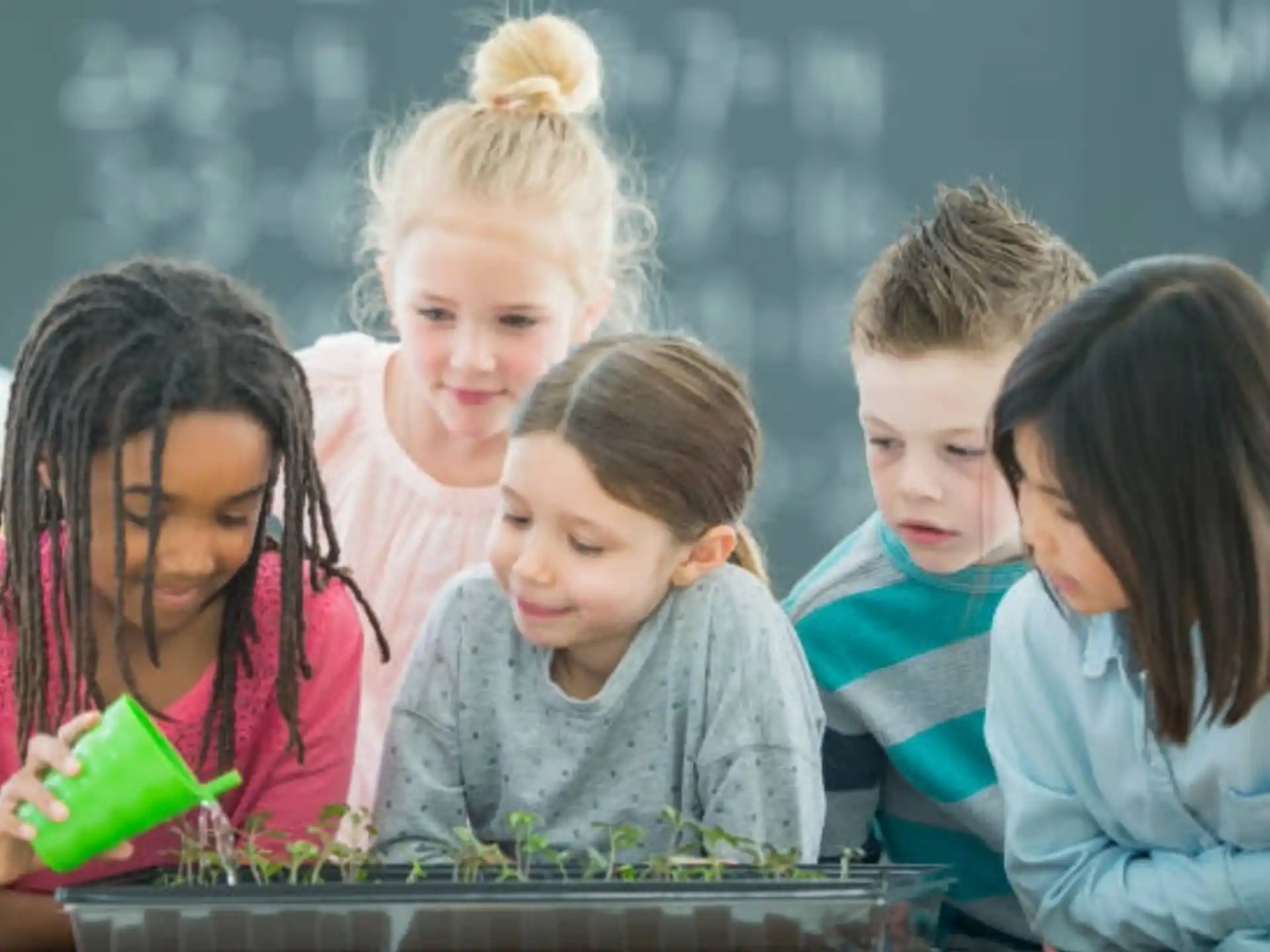 a group of children looking at a computer screen