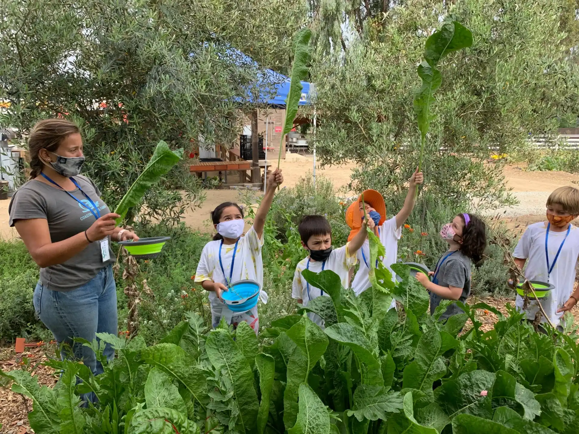 a group of people in a garden