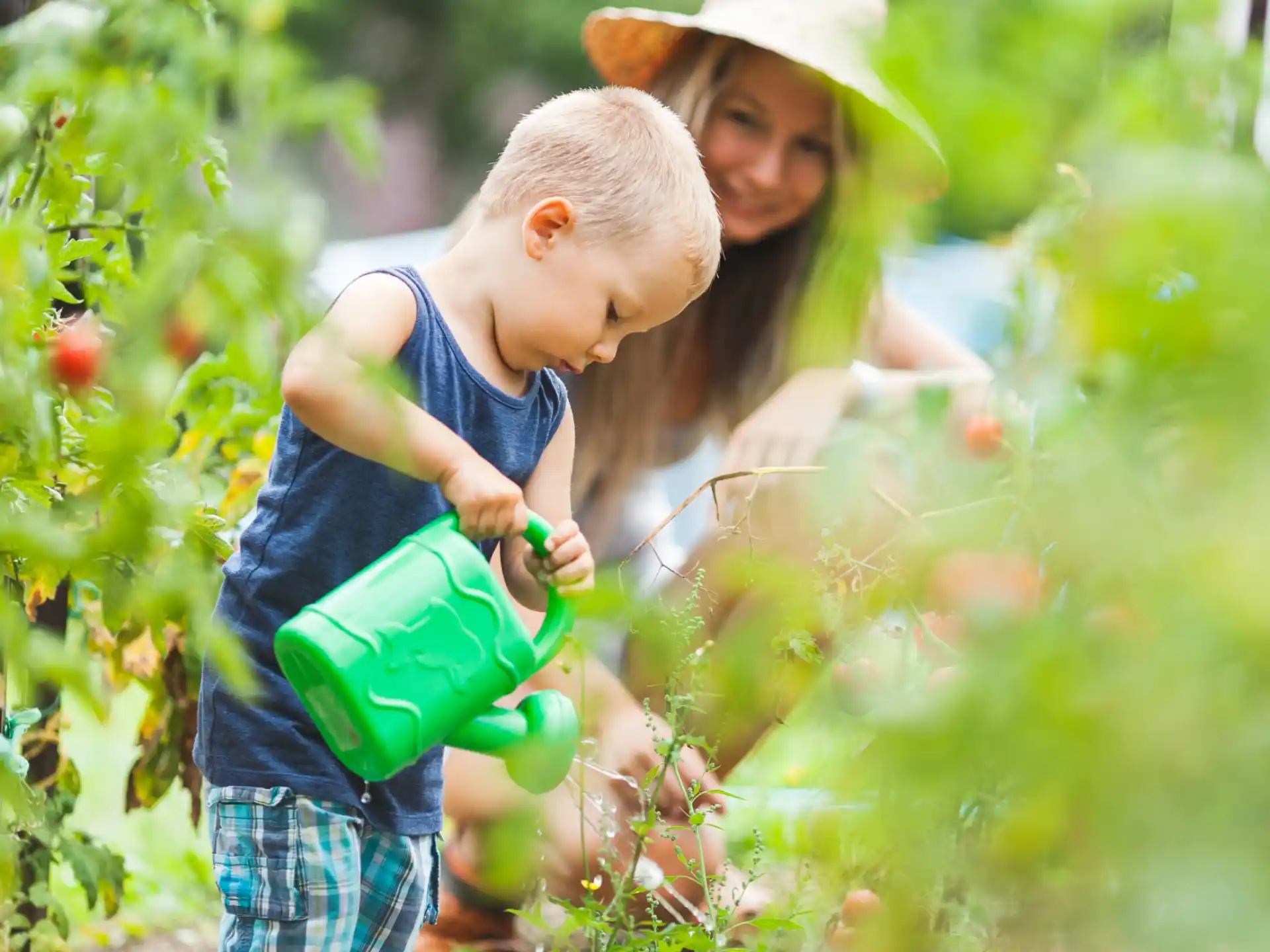 a person and a child picking berries