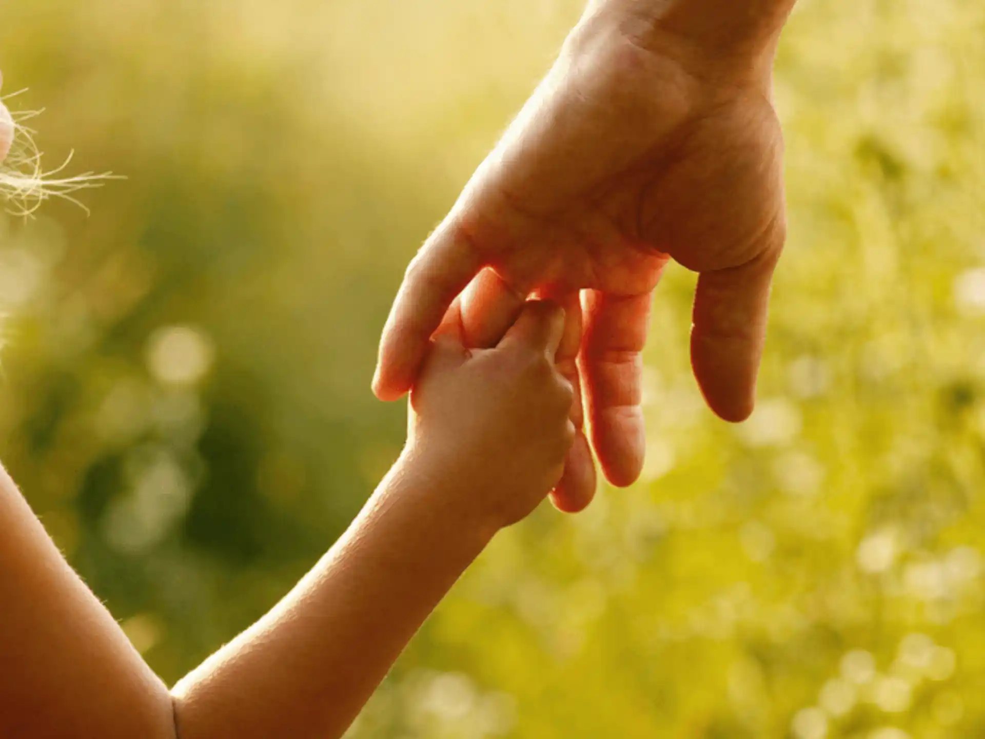 a child holding hands