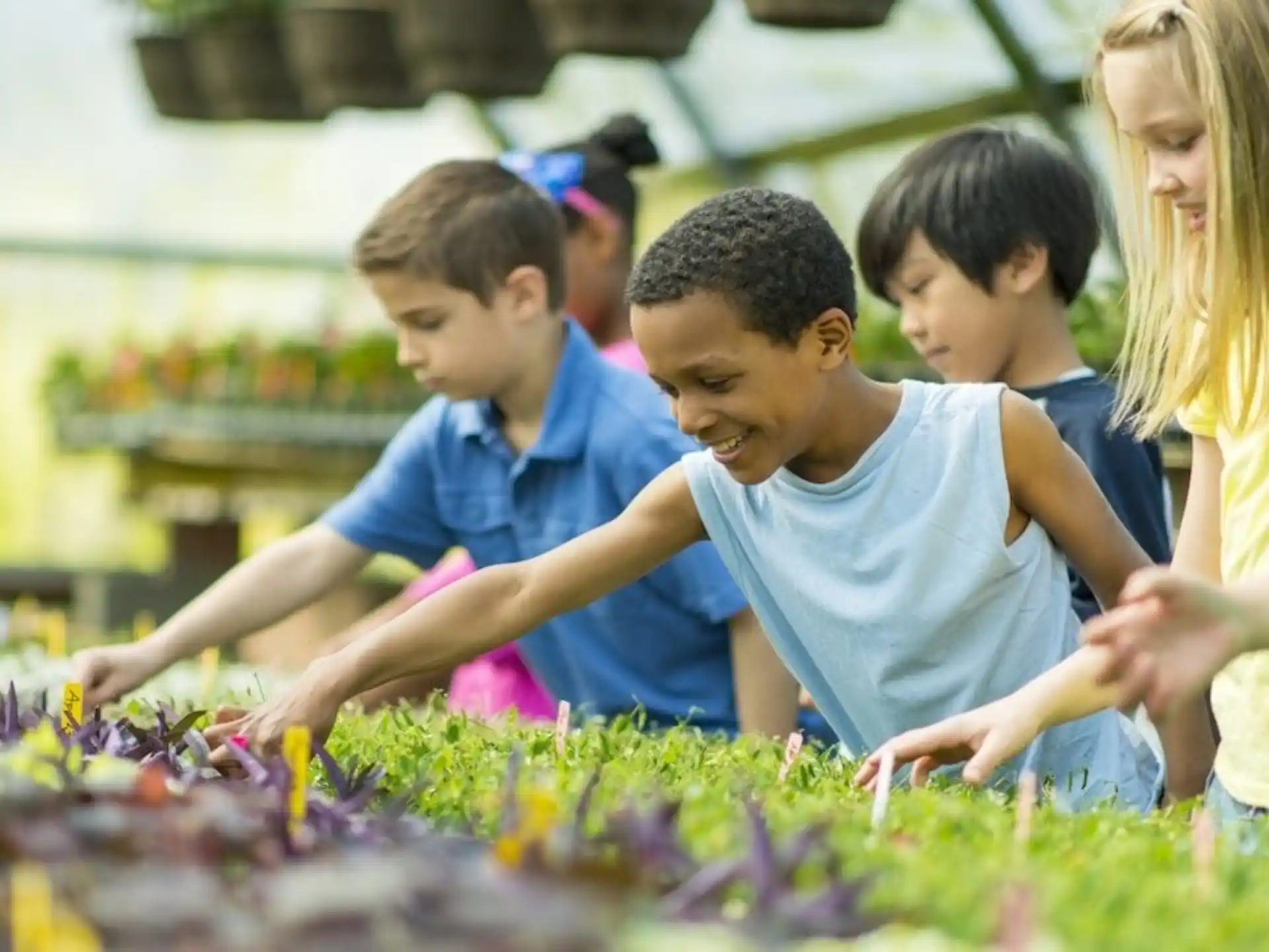 a group of people looking at a plant
