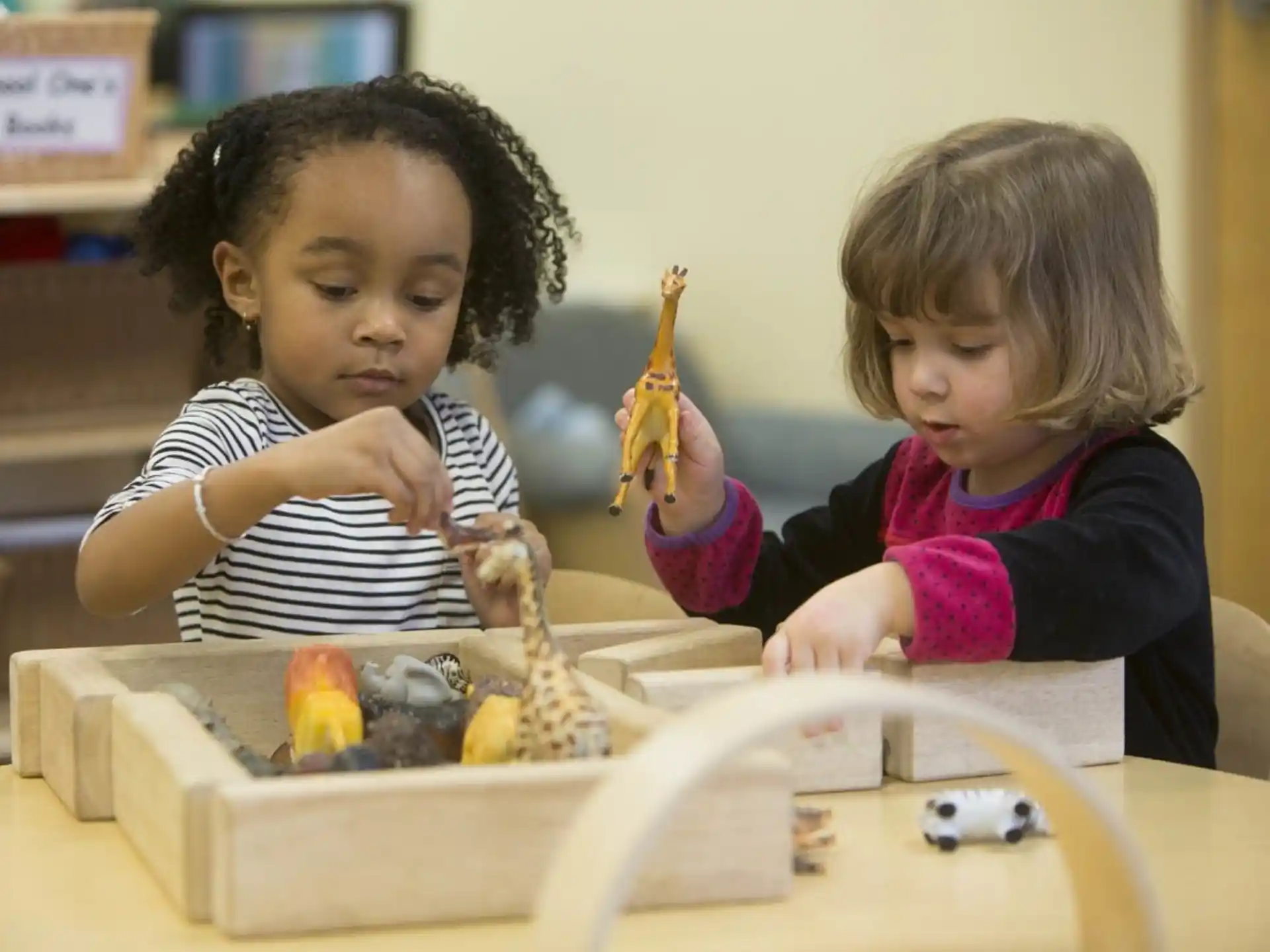 a couple of young girls playing with toys