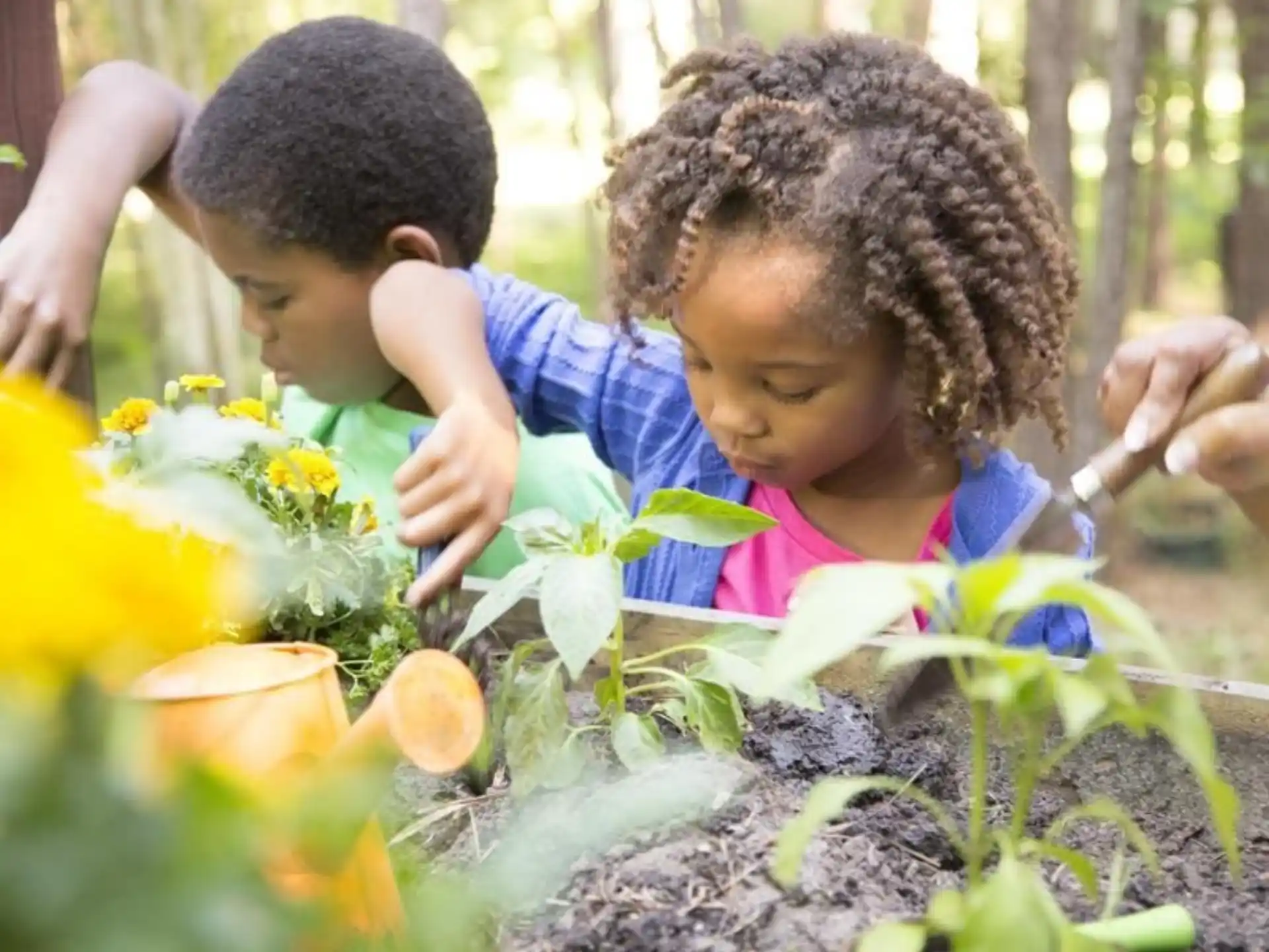 a couple of children looking at flowers