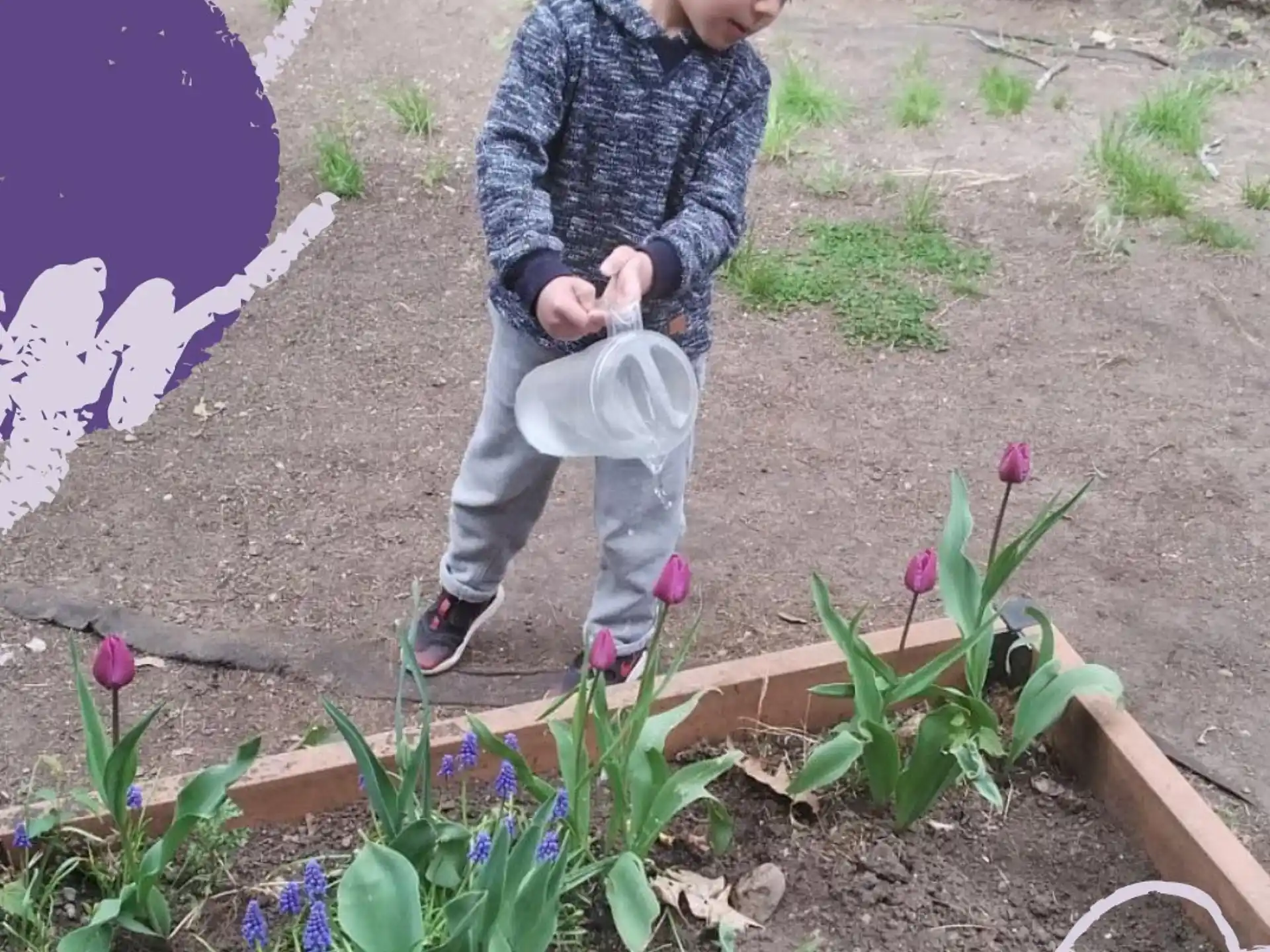 a boy standing in a garden