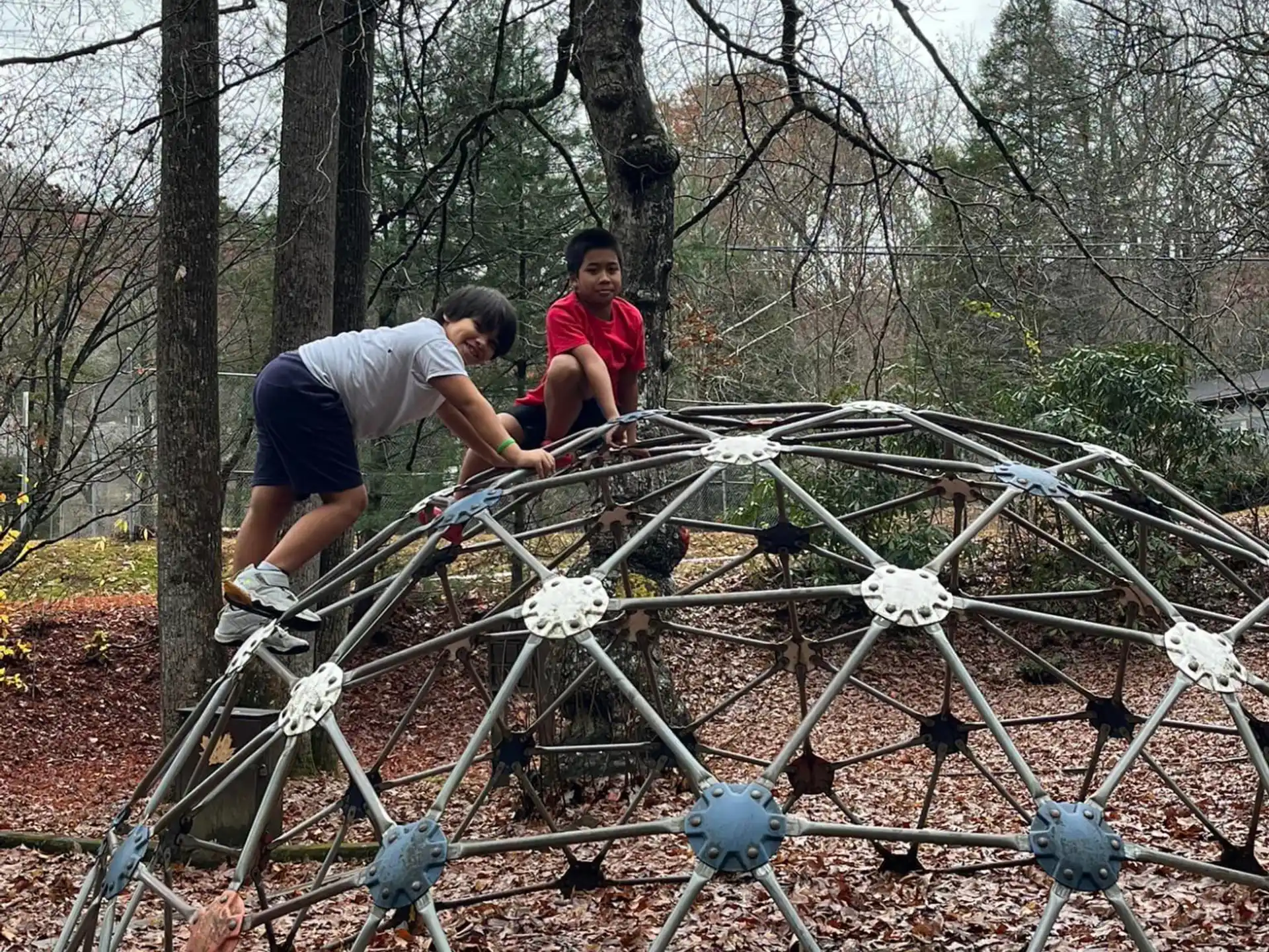 a couple of people working in a garden