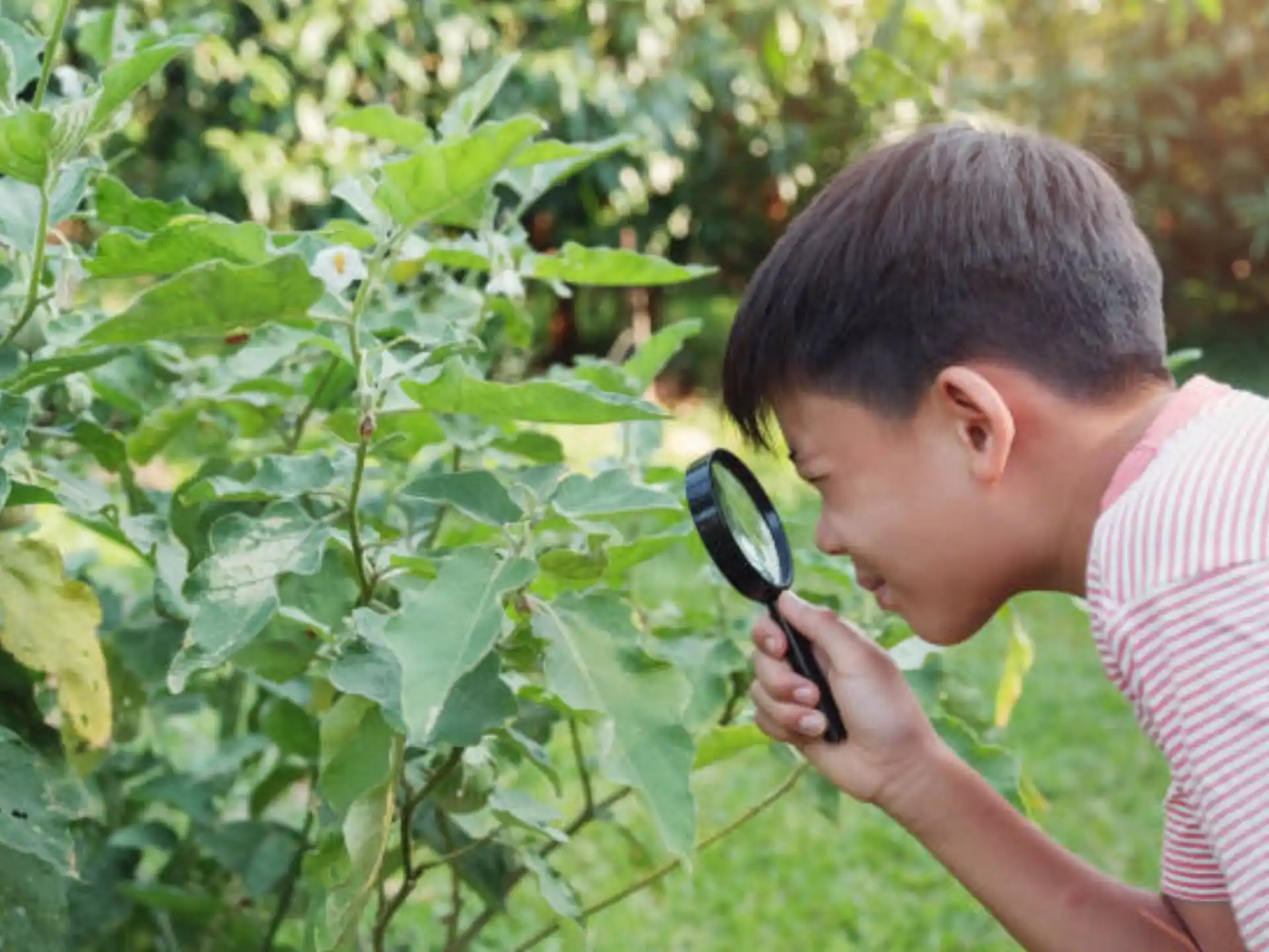 a boy looking at a plant