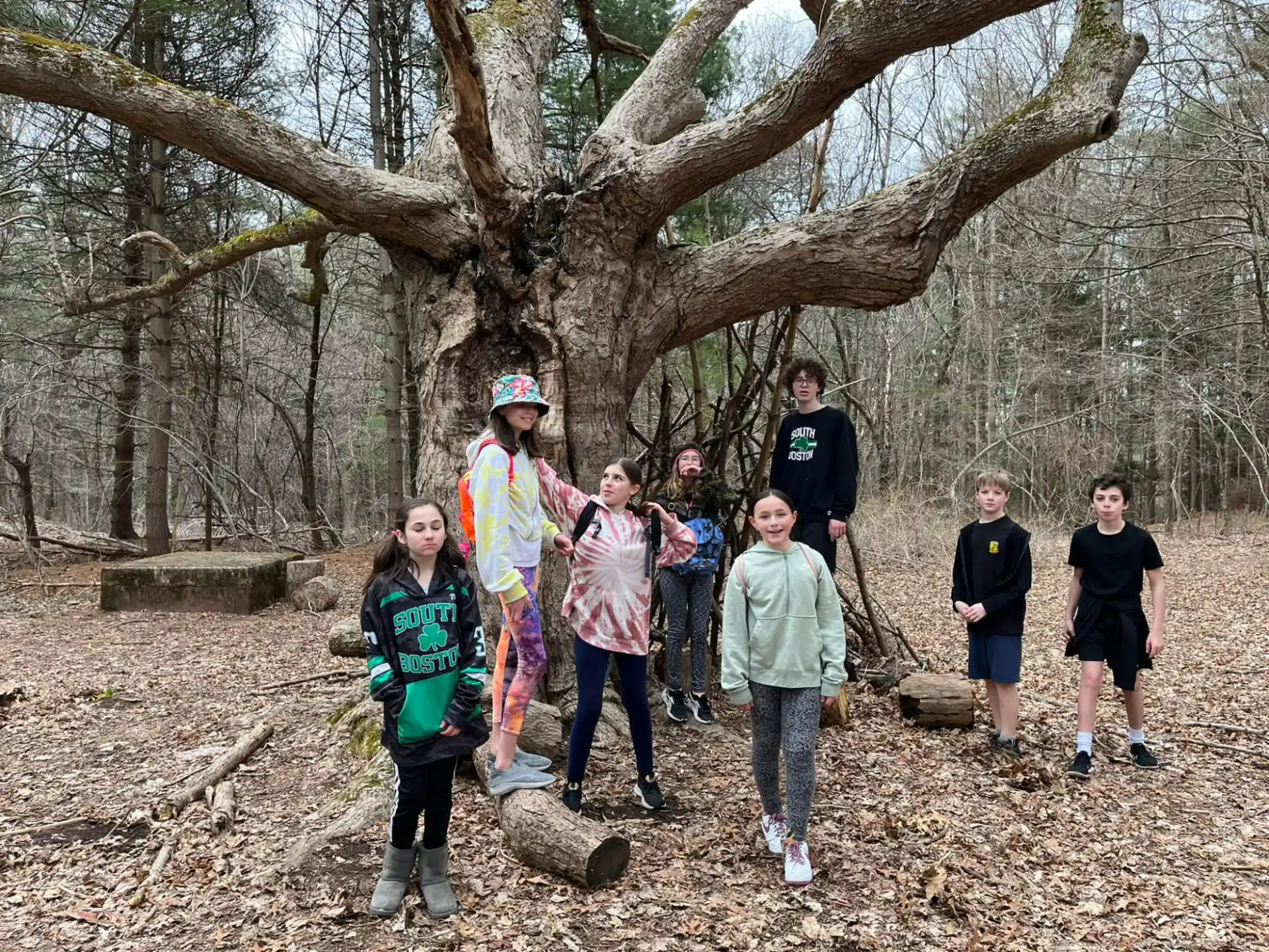 a group of people standing under a tree