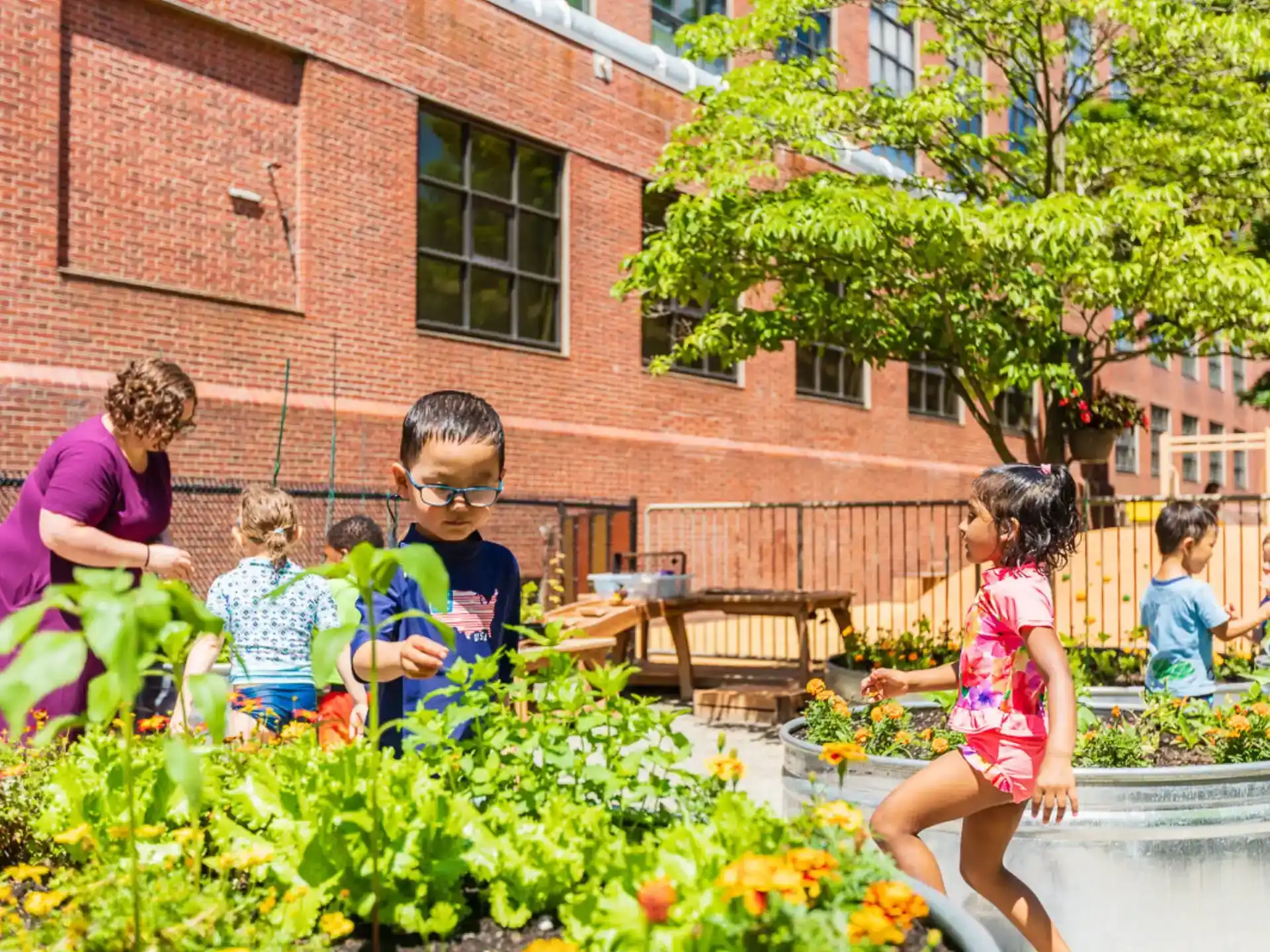 a group of children in a garden