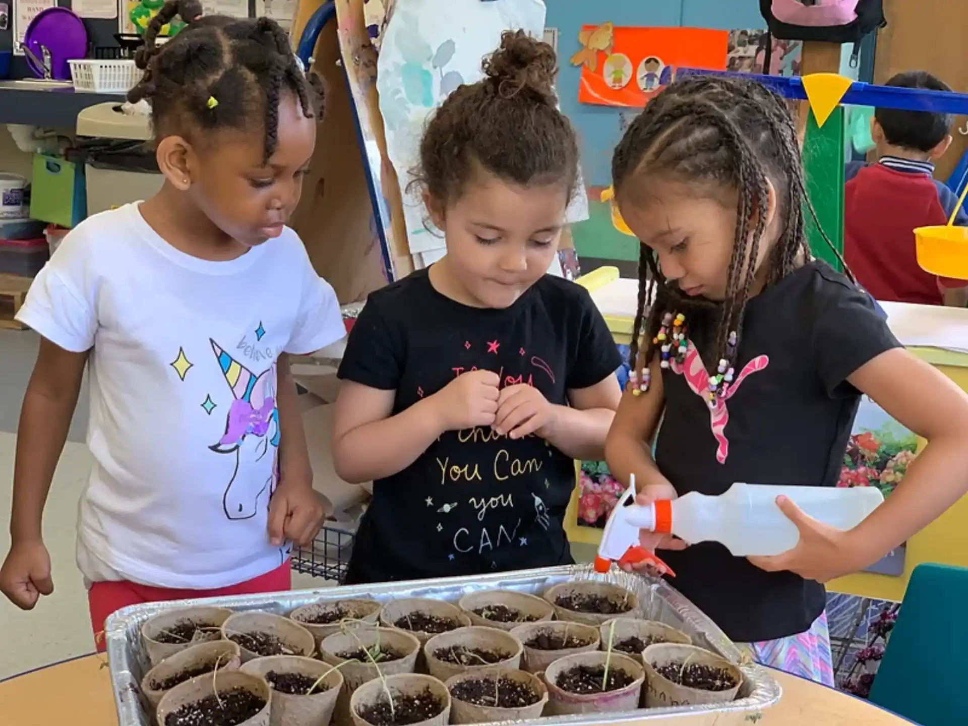 a group of children looking at a tray of cupcakes