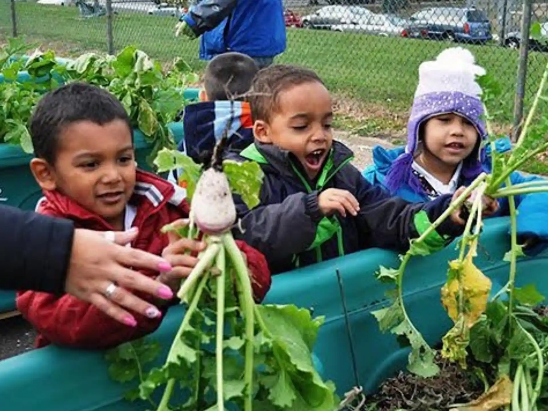 a group of children in a basket