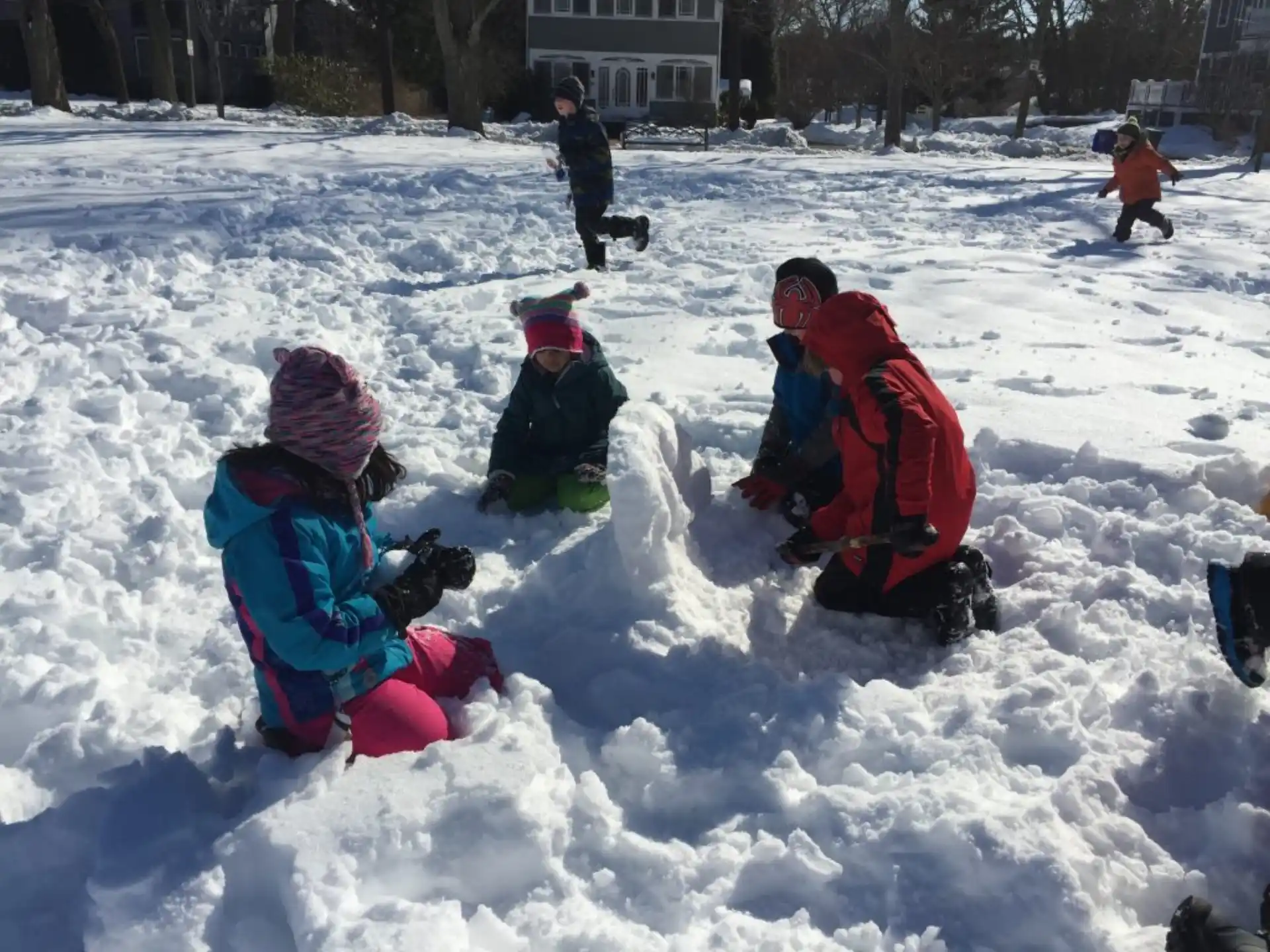 a group of people playing in the snow