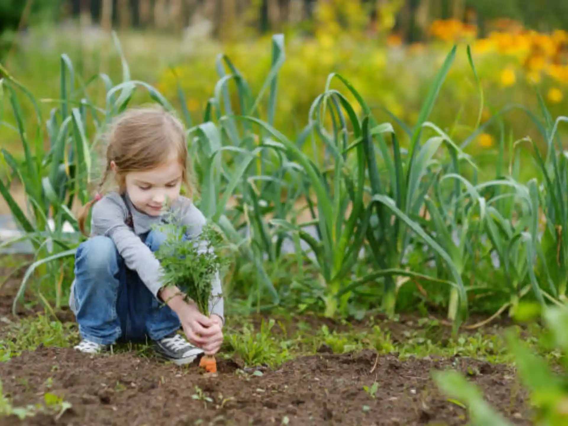 a young girl planting a garden